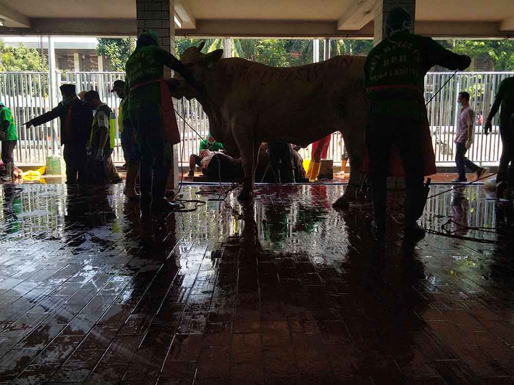 Masjid Istiqlal Potong 36 Hewan Kurban