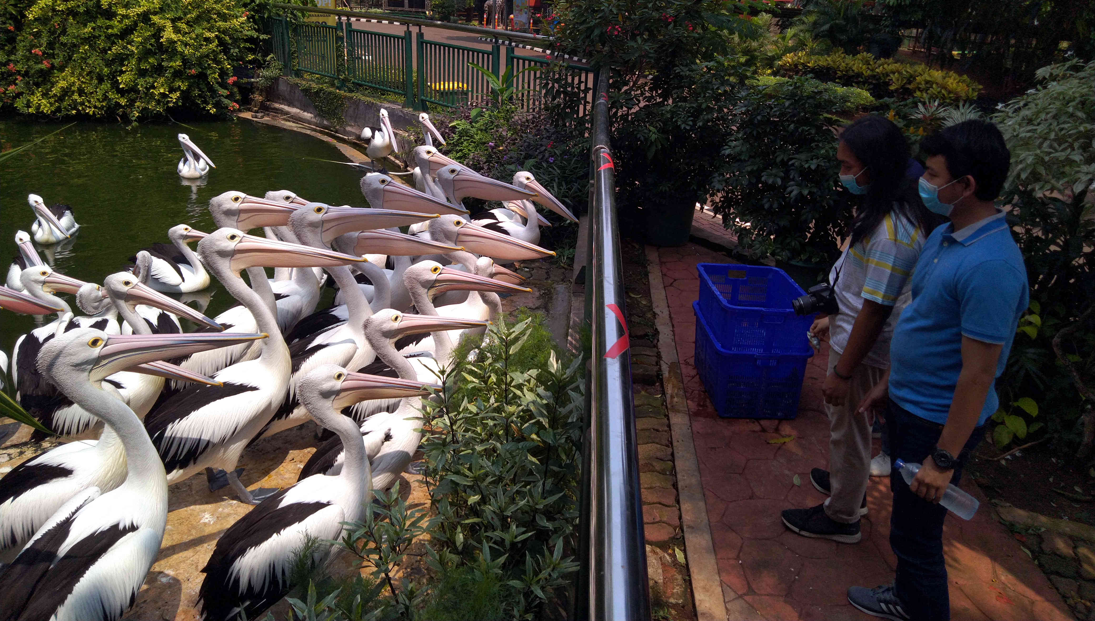 Mengisi Liburan Mengunjungi Taman Marga Satwa Ragunan