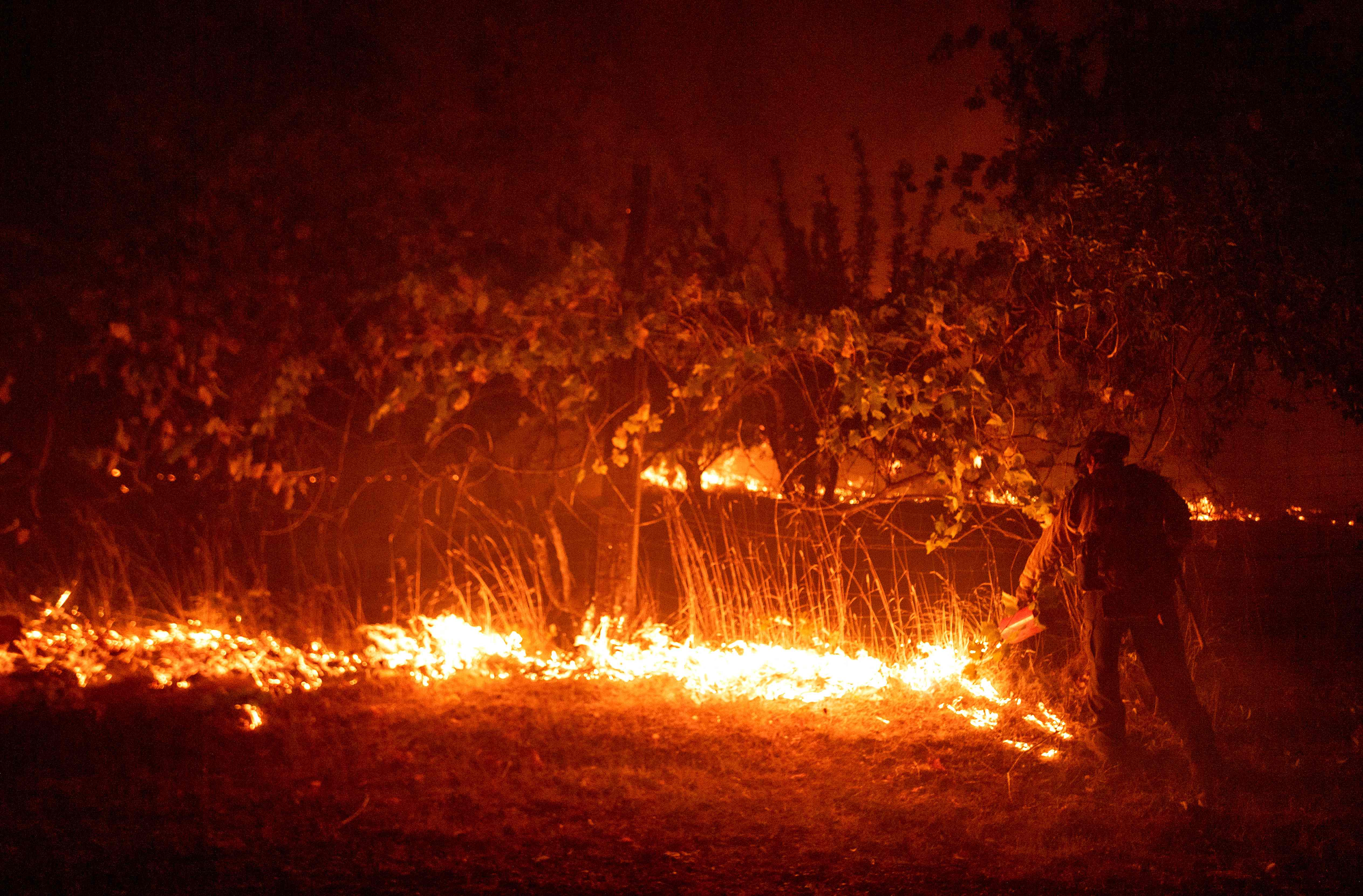 Angin Kencang Terus Ancam Kebakaran Hutan di California
