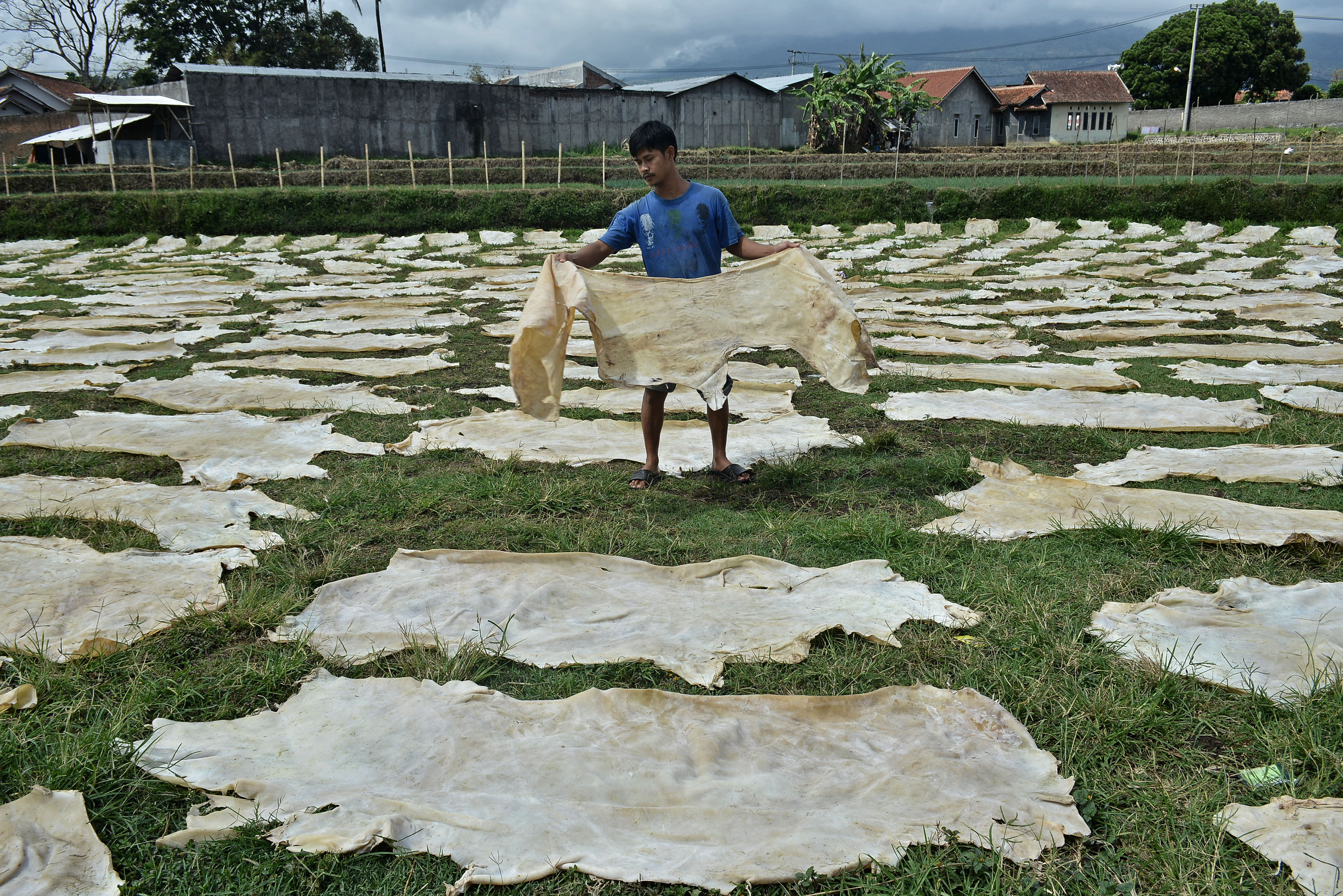 Penghapusan Insentif Pajak Pekerja