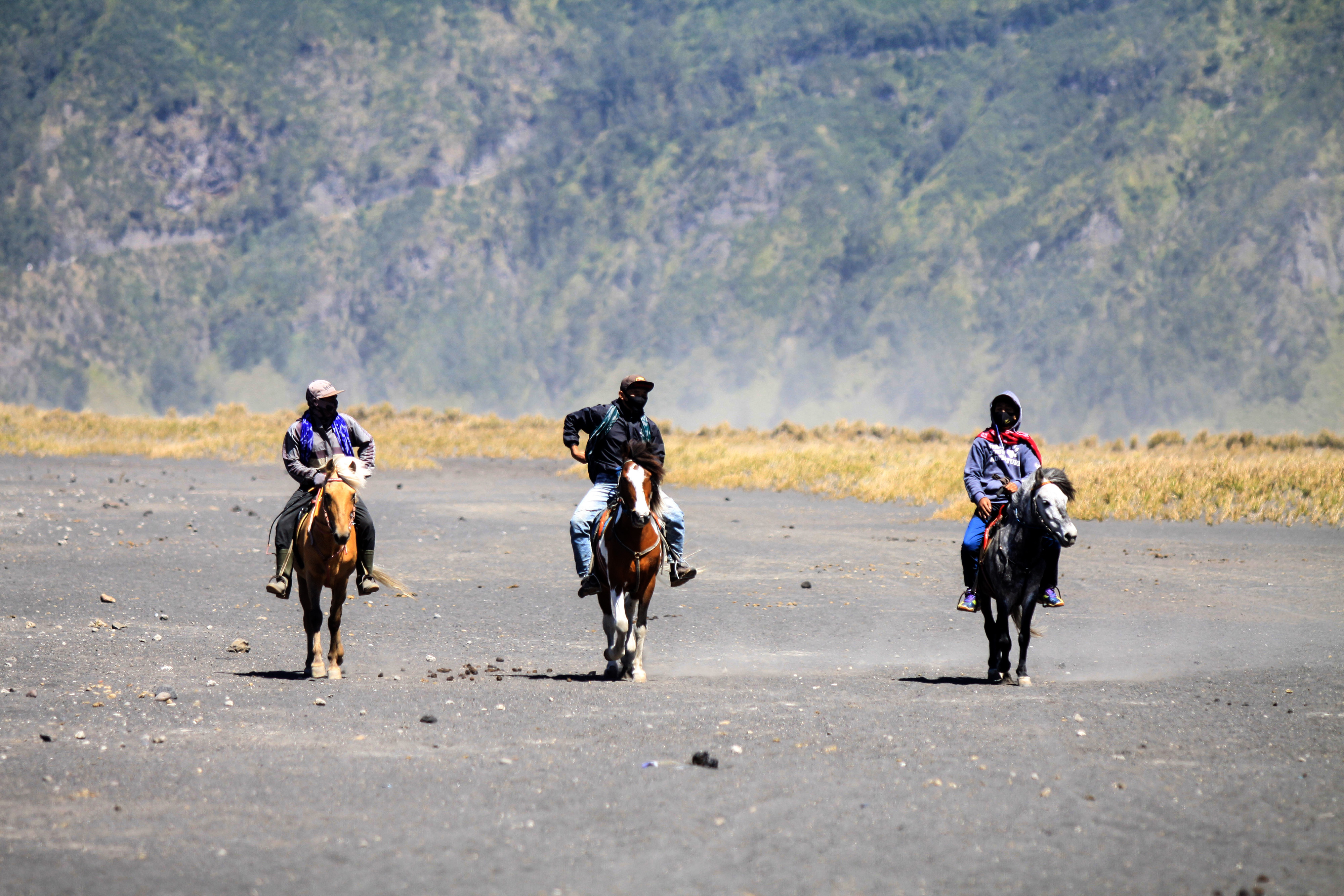Jasa Penyewaan Kuda di Gunung Bromo