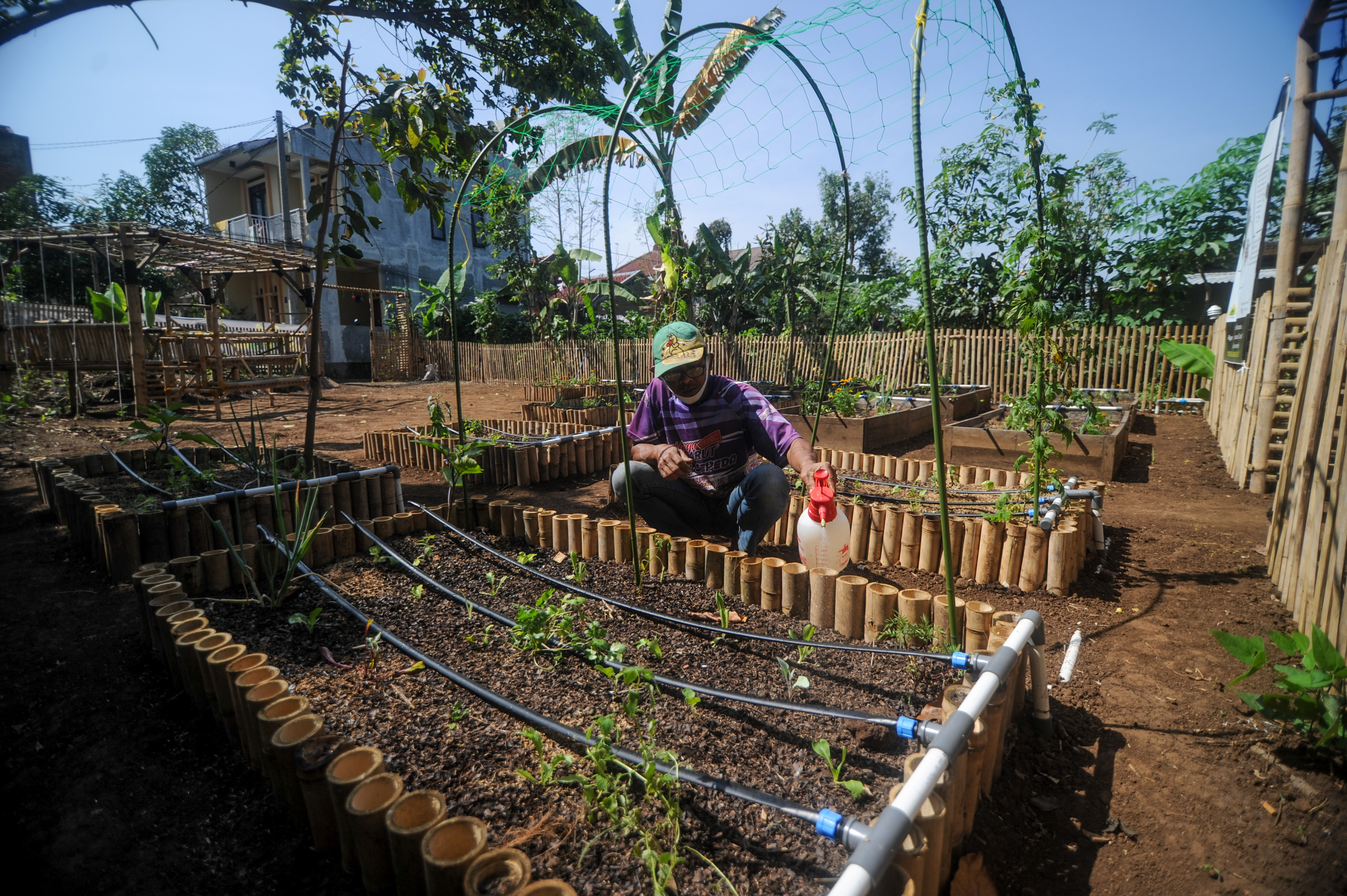 Program Kebun Teras Hijau di Bandung