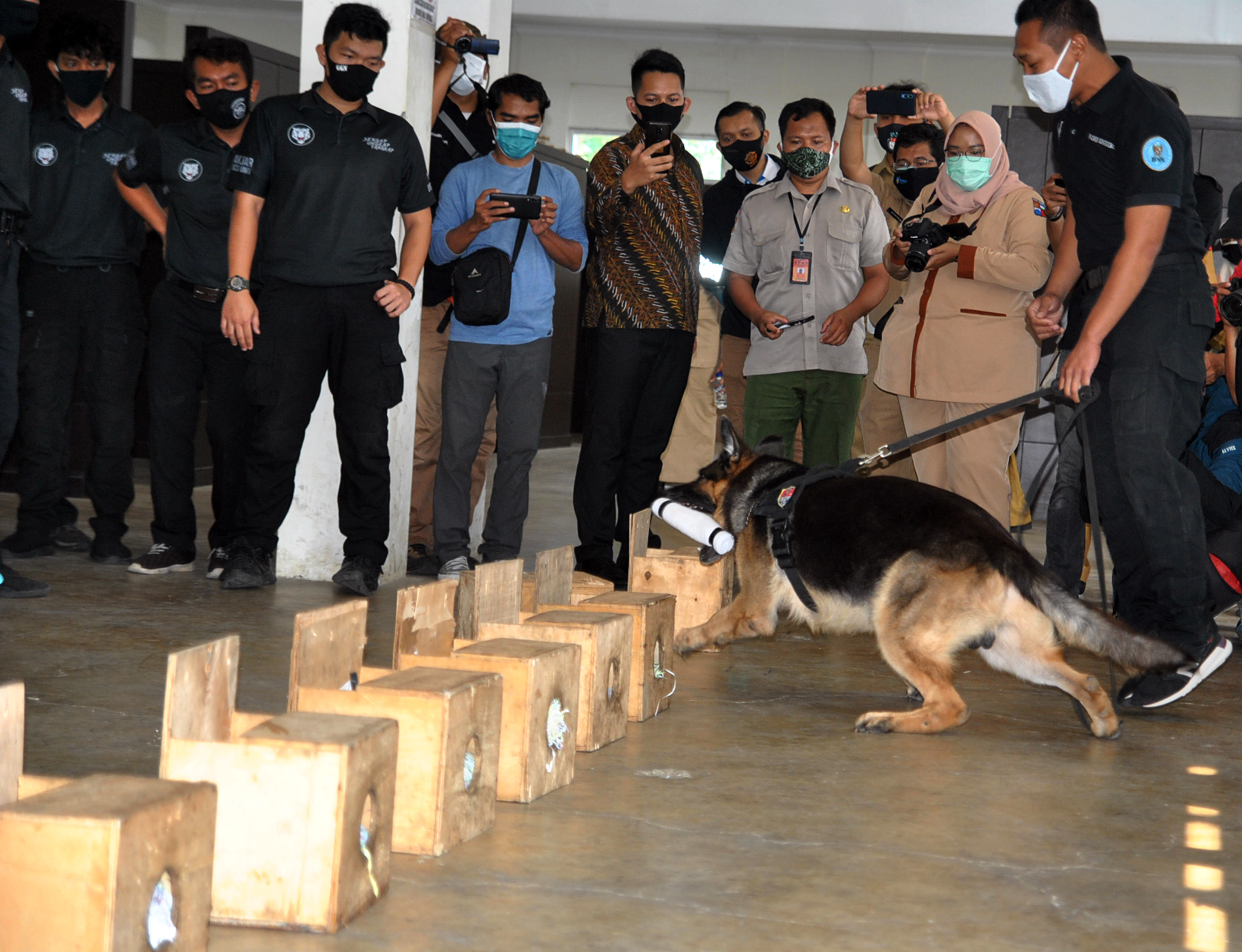 Simulasi Anjing Pelacak K-9 BNN