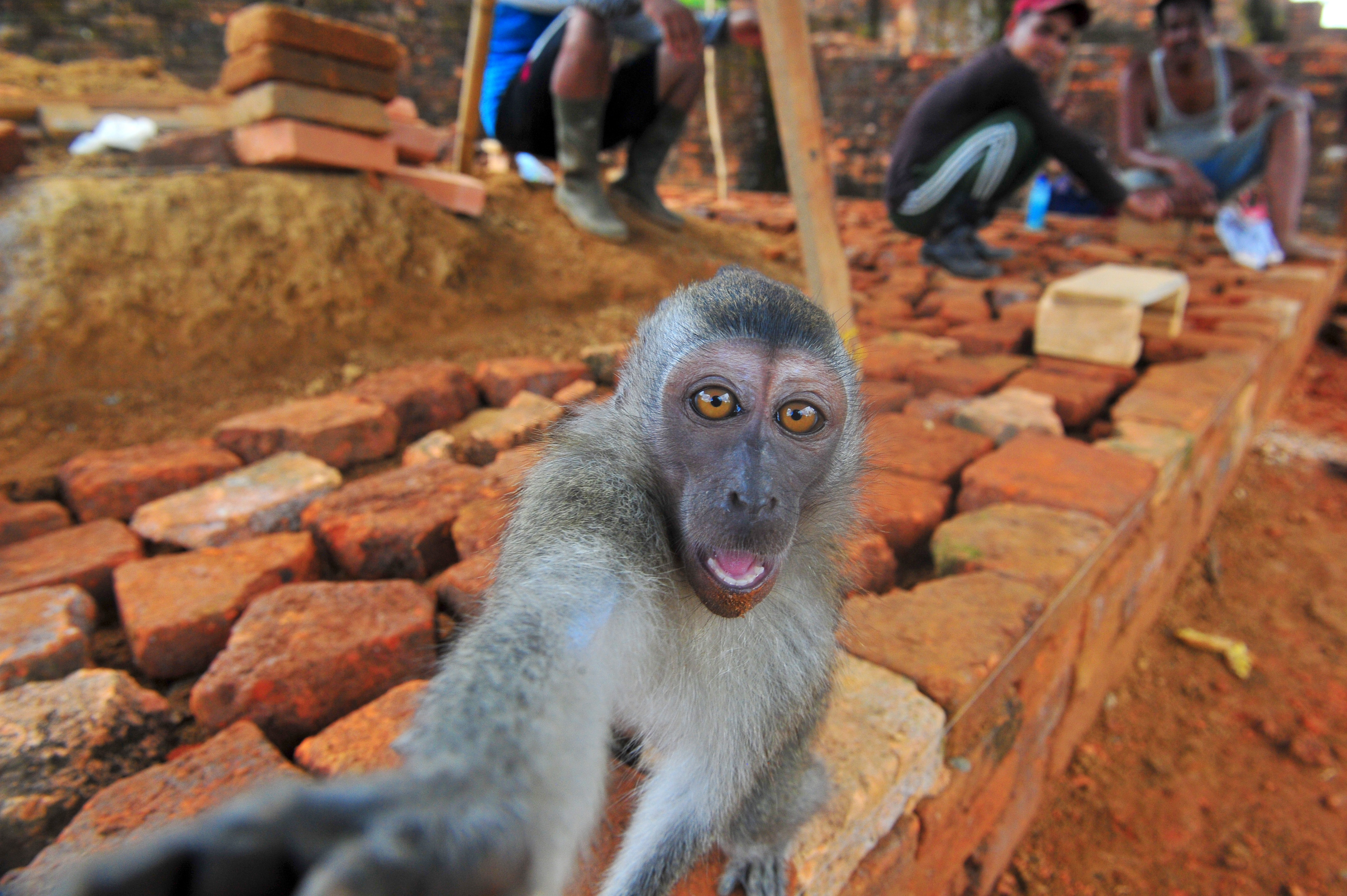 Pemugaran Kawasan Percandian Muarajambi