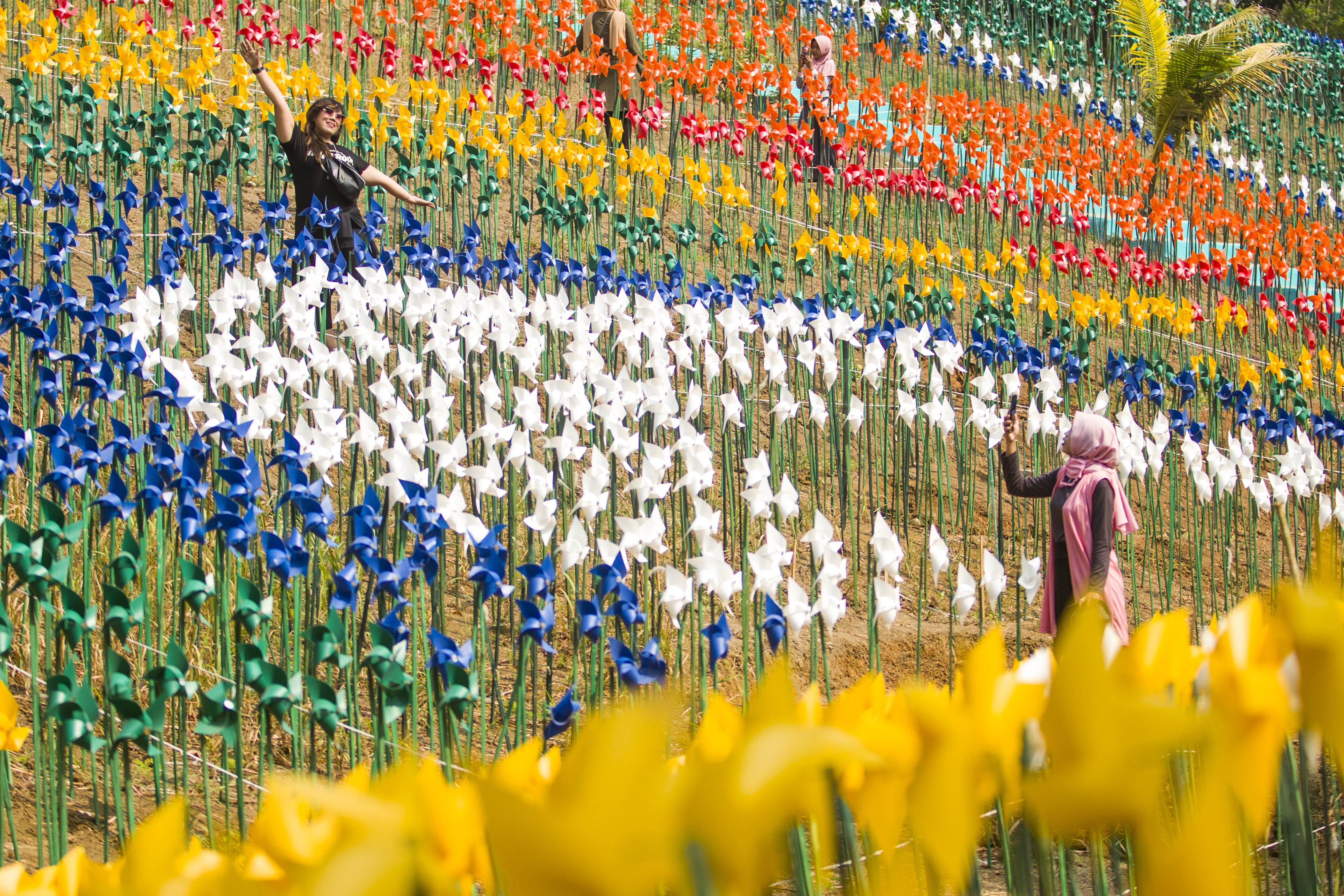 Wisata Taman Kincir Angin