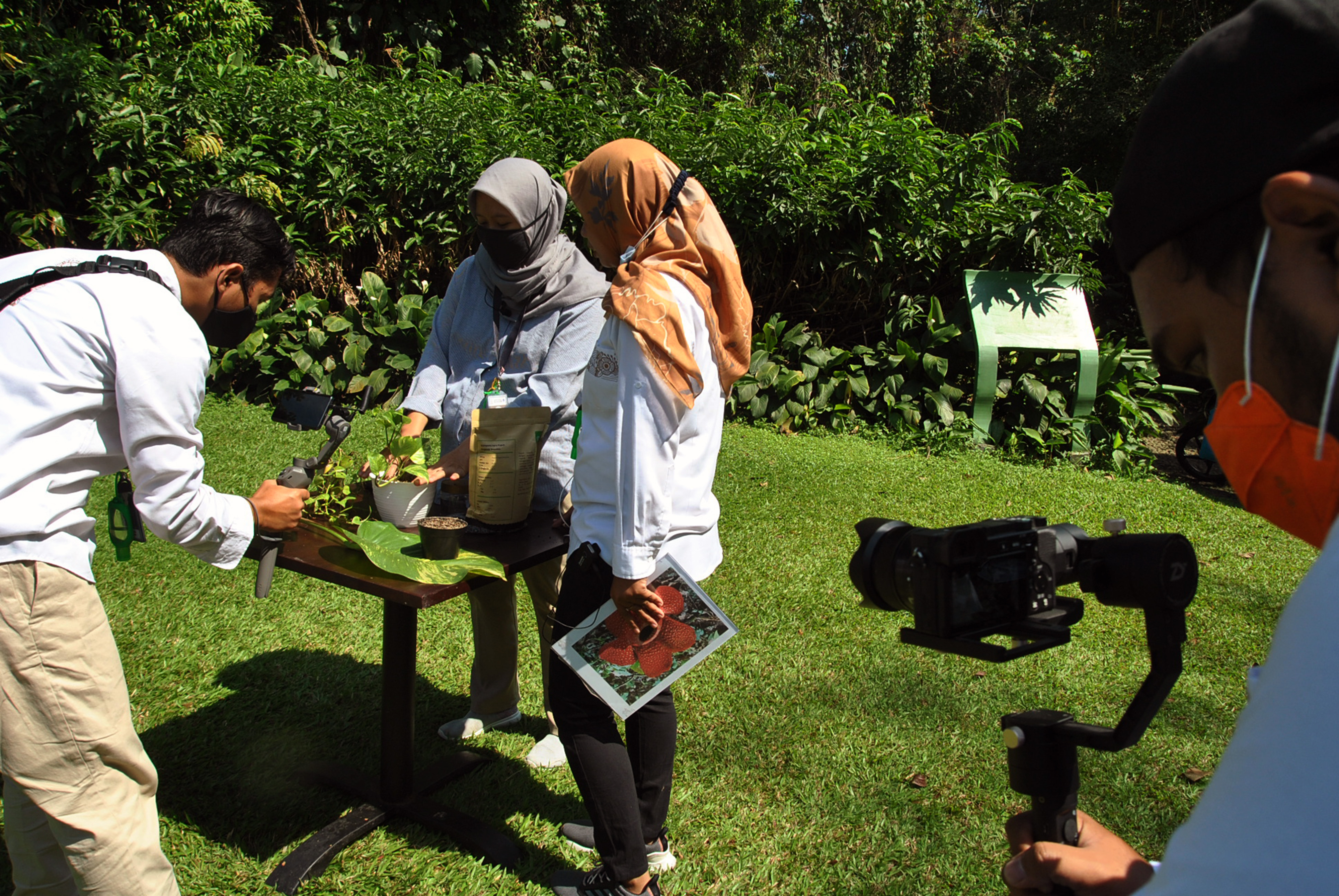 Wisata Virtual di Kebun Raya Bogor