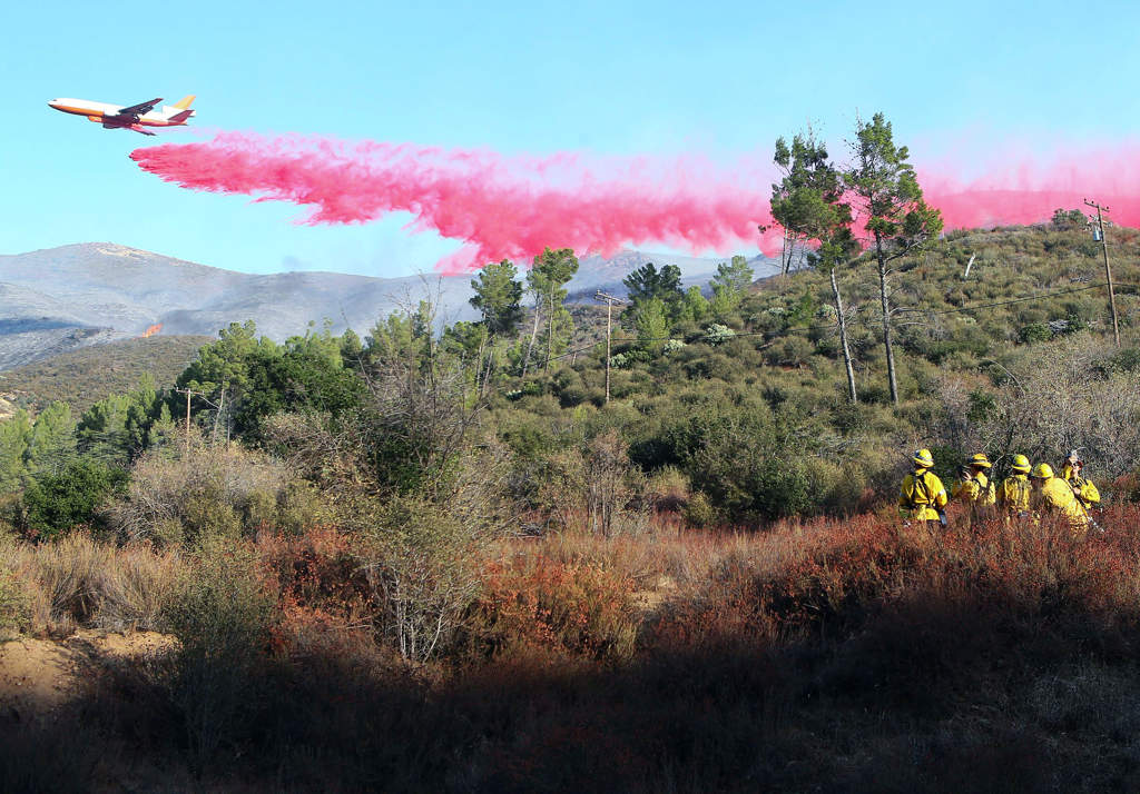 Rekor Kebakaran Hutan di California