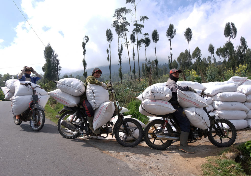 Ojek Pertanian di Gunung Sindoro Wonosobo 