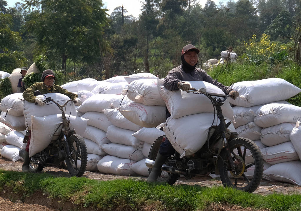 Ojek Pertanian di Gunung Sindoro Wonosobo 