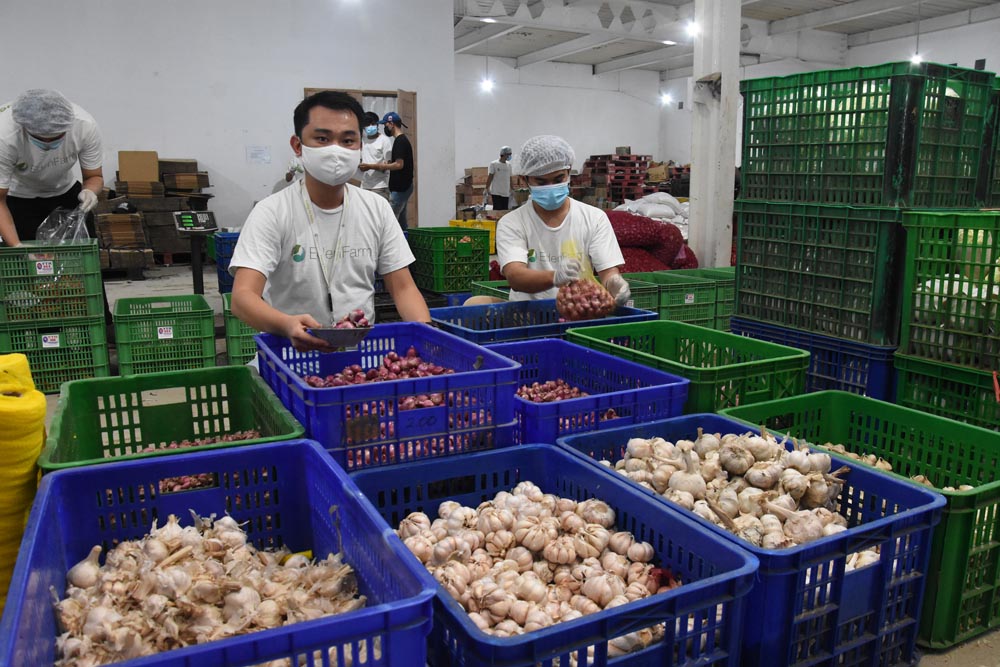 Penyedia Sayur Secara Daring