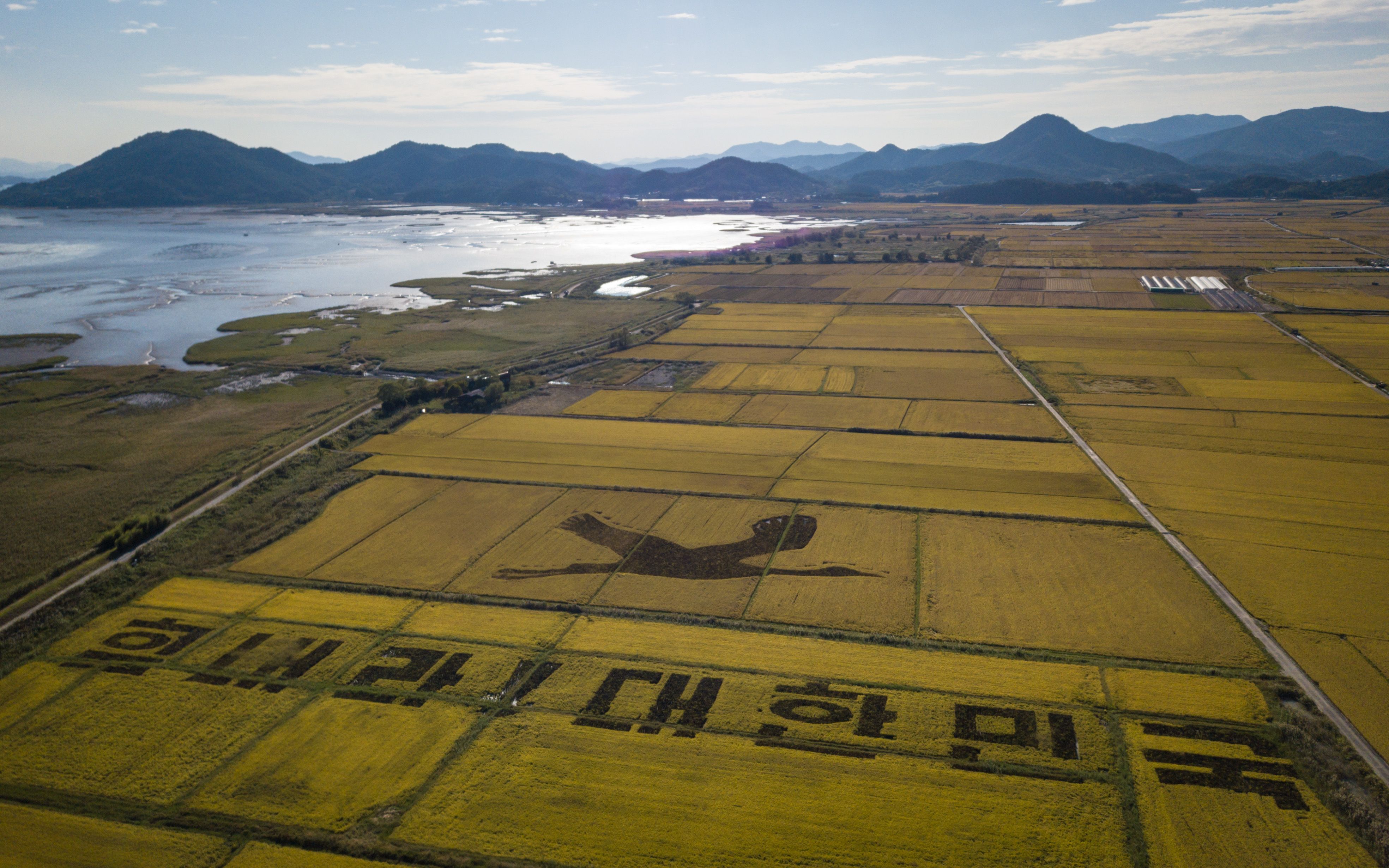 Tetap Semangat Hadapi Covid-19 dari Orang-Orangan Sawah di Korea