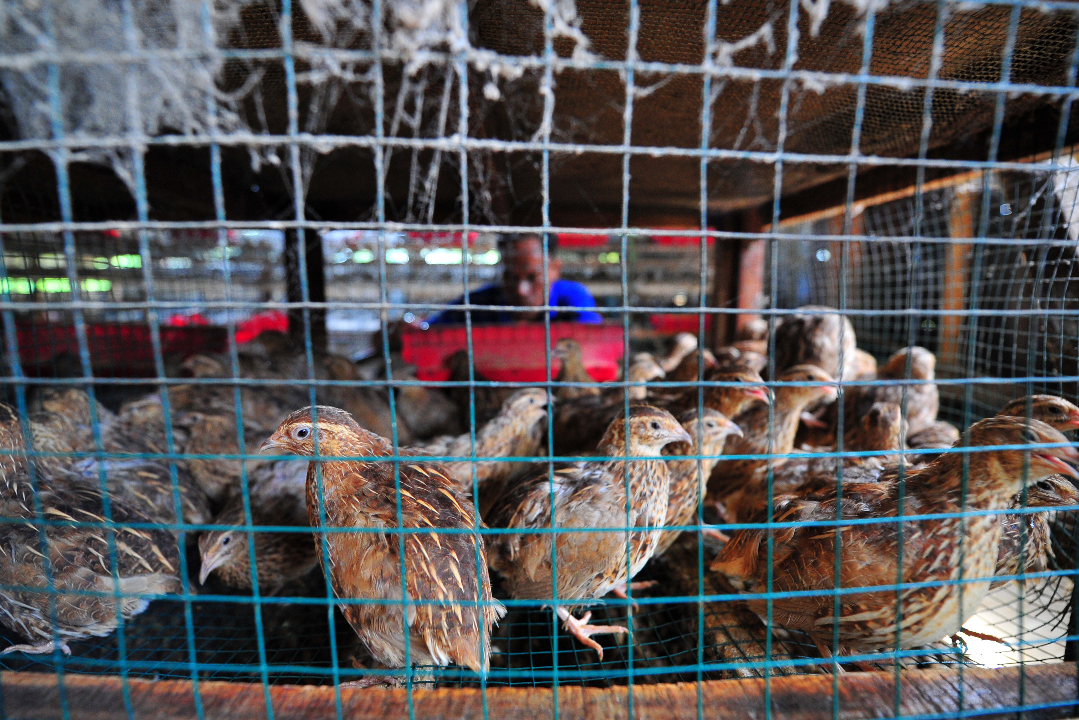 Realisasi Penyaluran Bantuan Presiden Produktif untuk UMKM