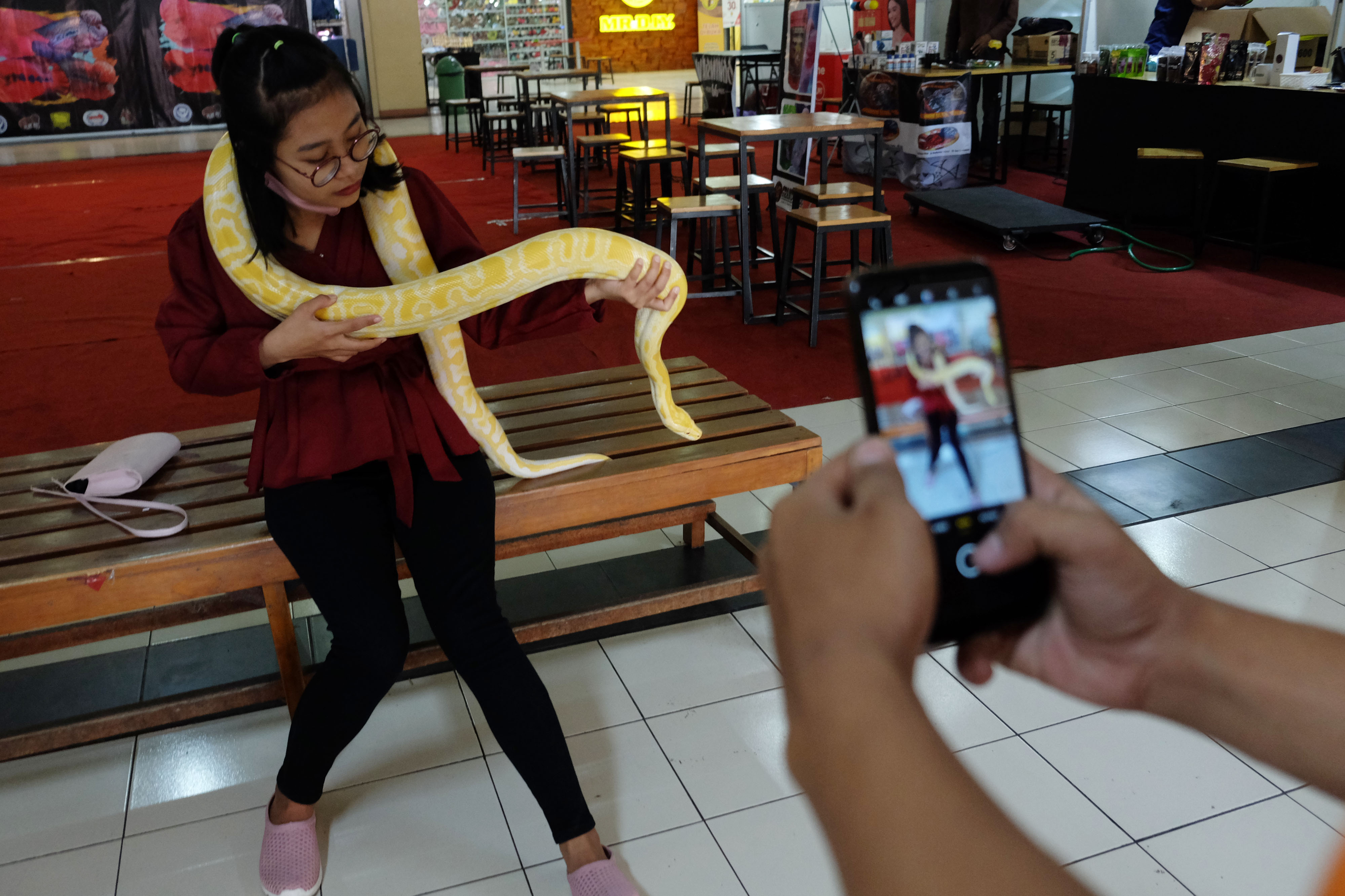 Edukasi Mengenal Ular