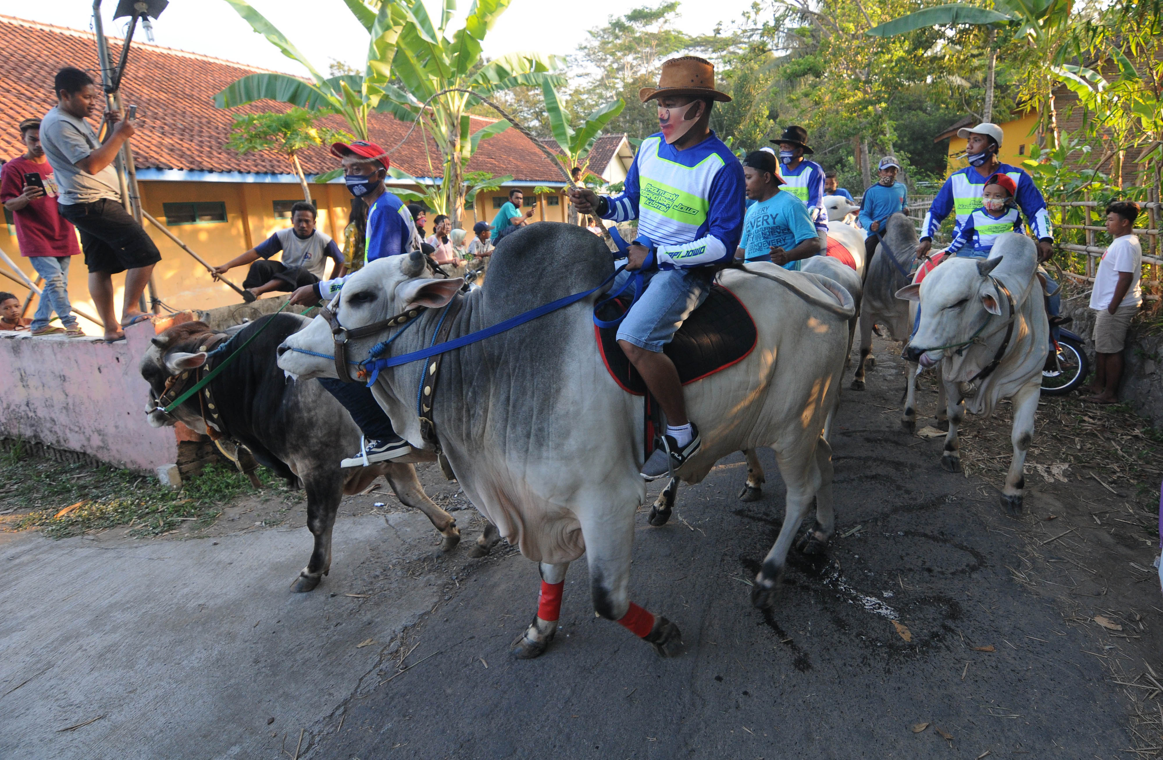 Silaturahmi Peternak Sapi Jawa