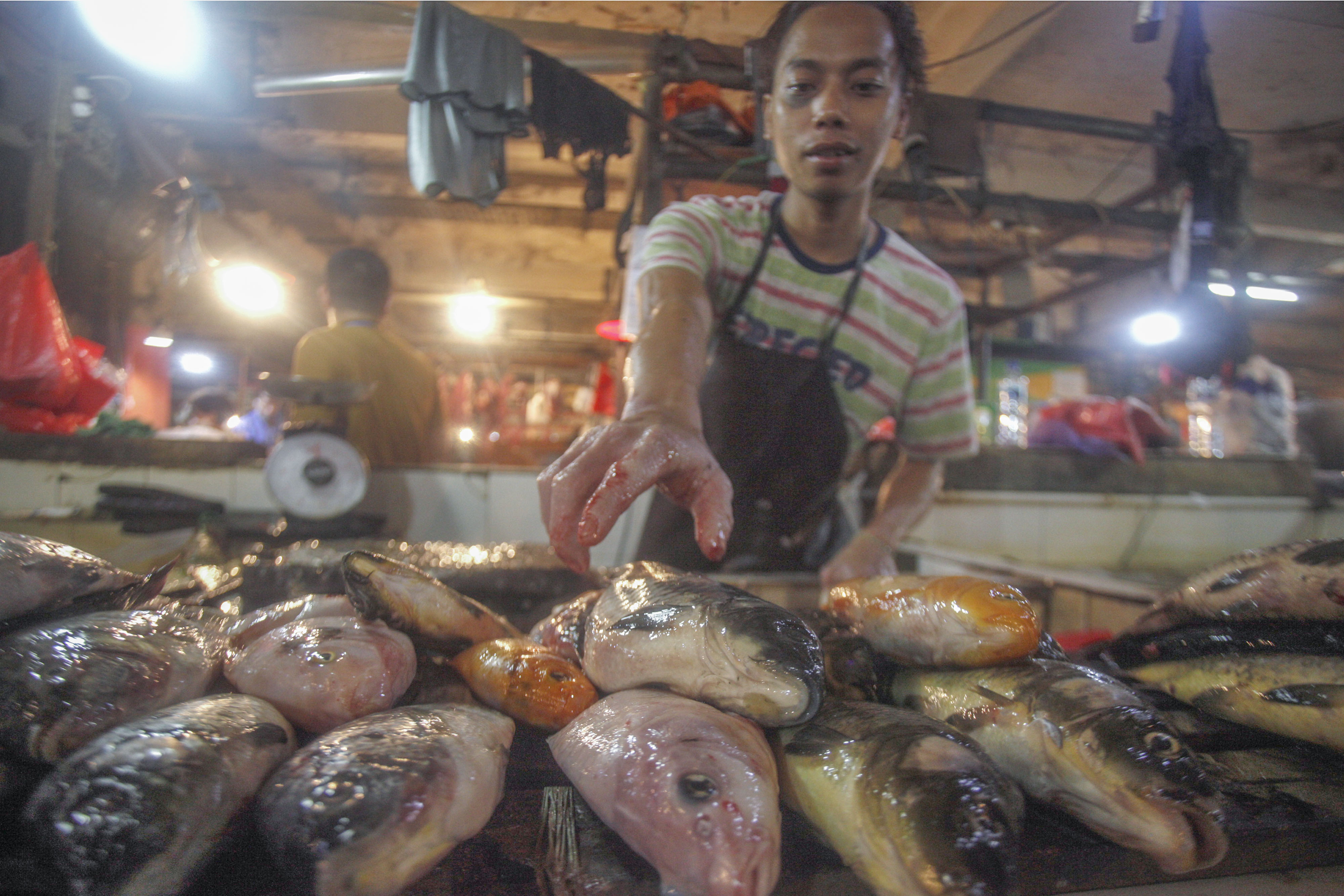 Target Konsumsi Ikan