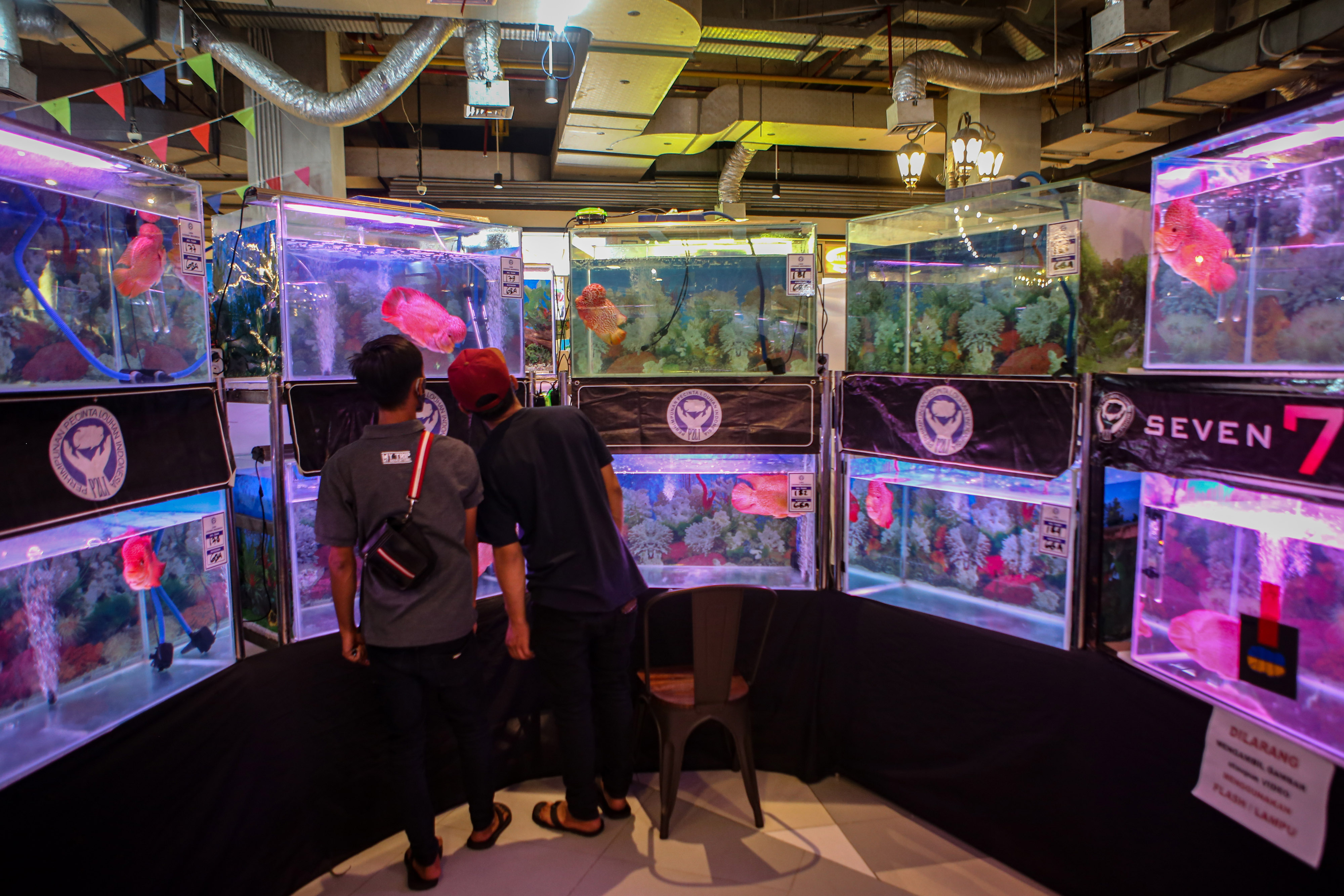 Liga Louhan Nasional