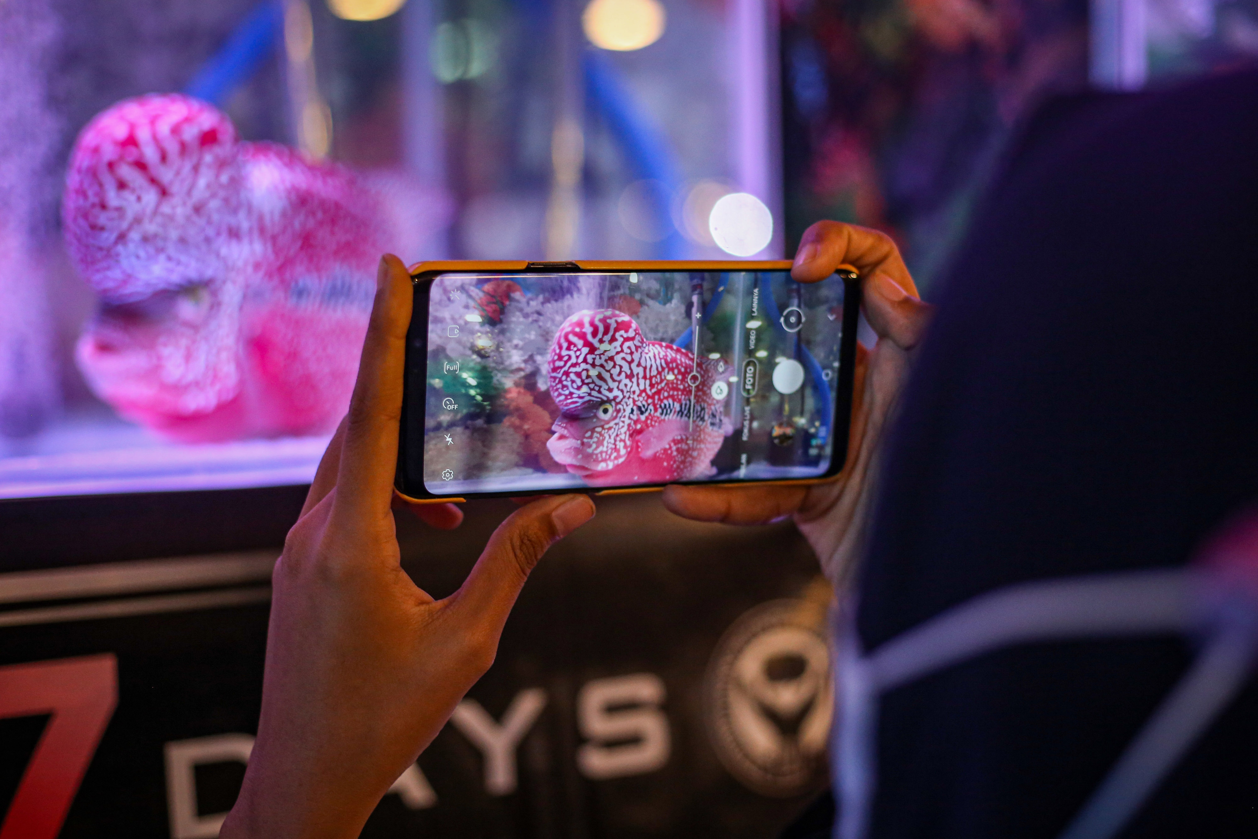 Liga Louhan Nasional