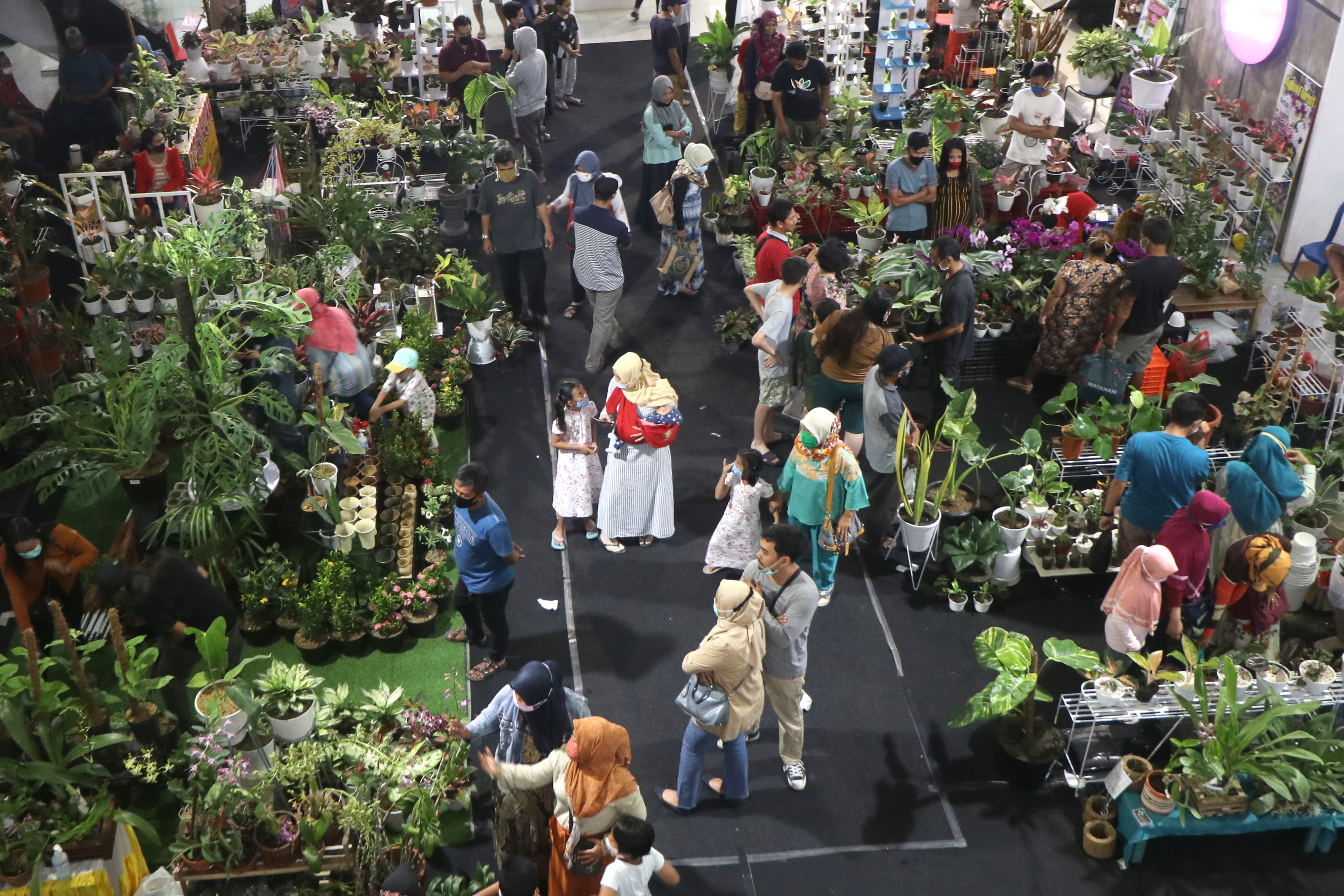 Pameran Tanaman Hias di Kediri