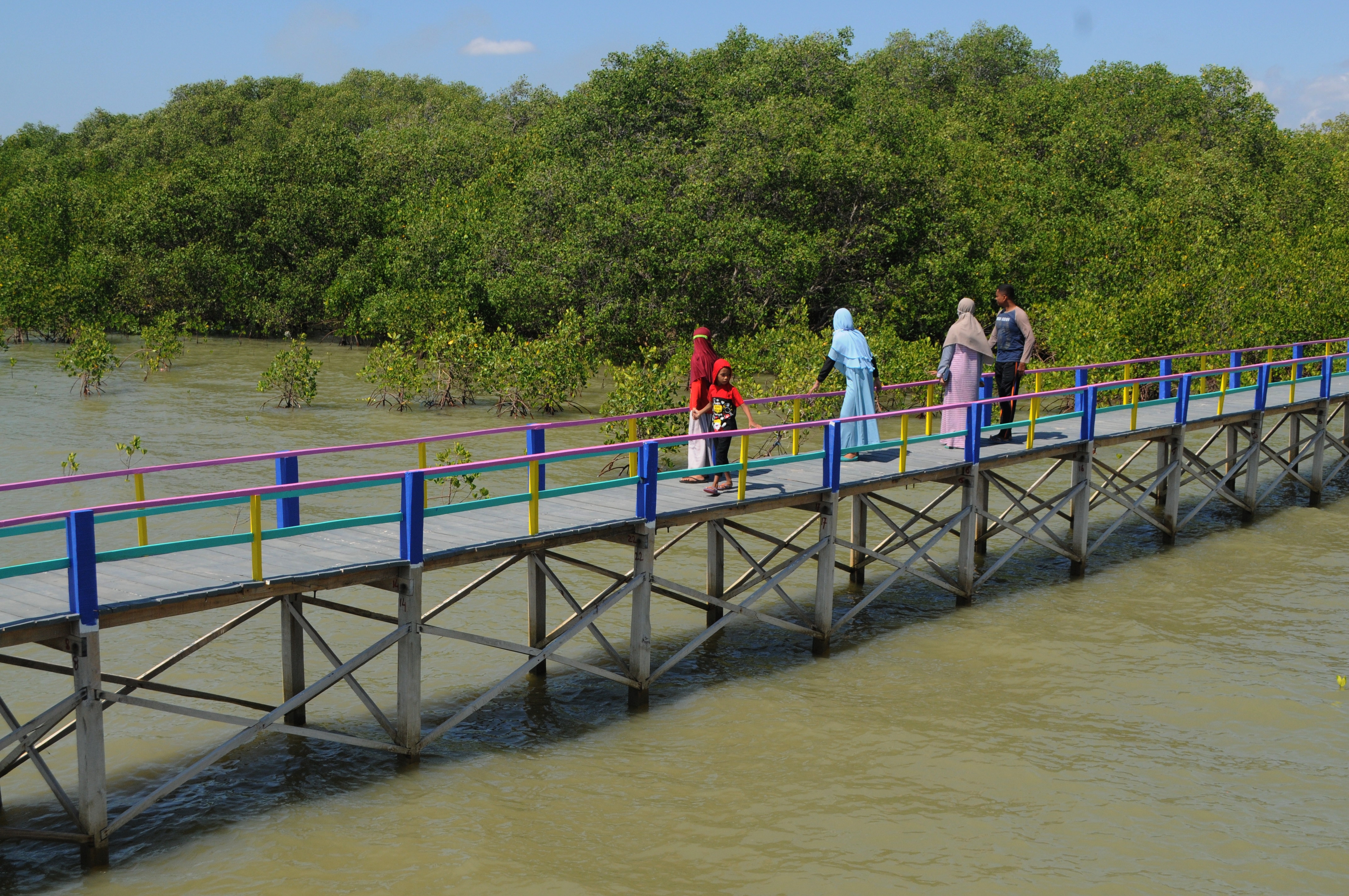  Wisata Hutan Mangrove di Pantai Desa Lembung