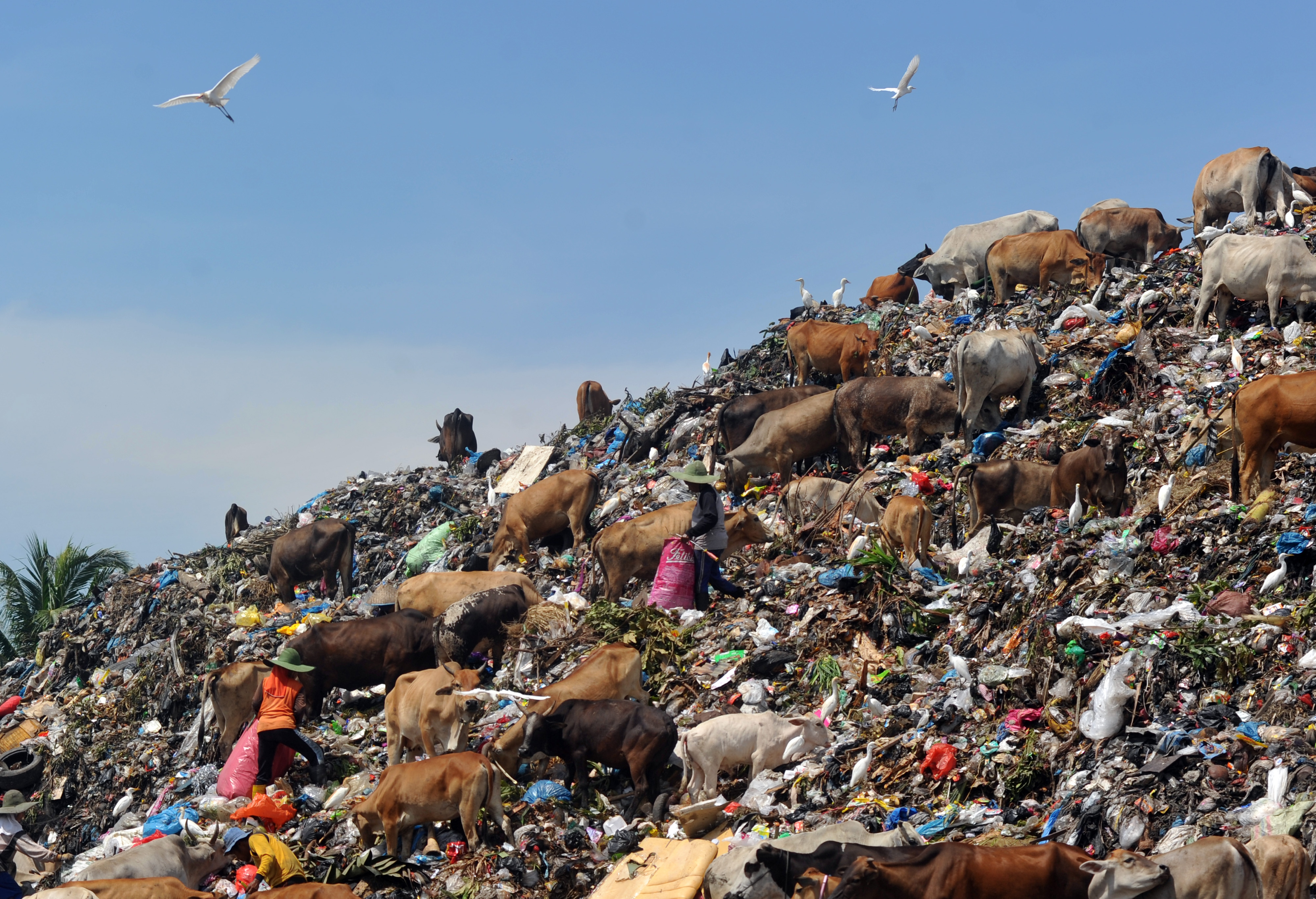 Volume Sampah di  Padang Berkurang Selama Pandemi