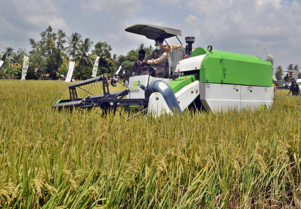 Mentan Syahrul Limpo Panen Raya di Lampung 