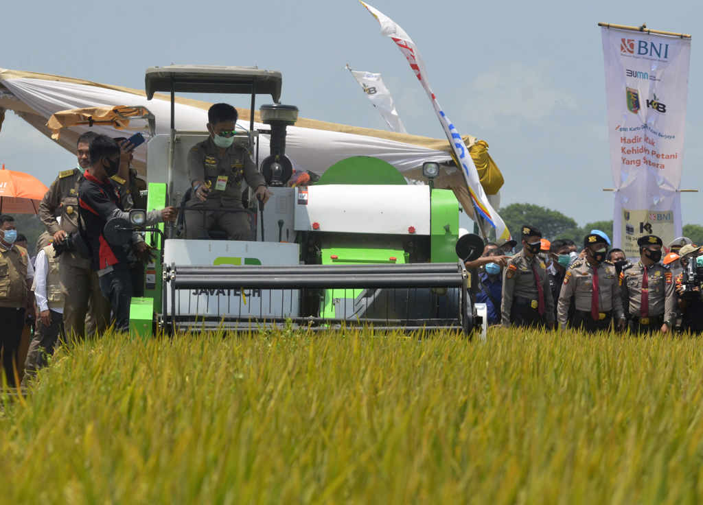 Mentan Syahrul Limpo Panen Raya di Lampung 