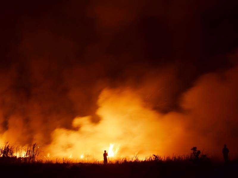 Kebakaran Lahan Tebu