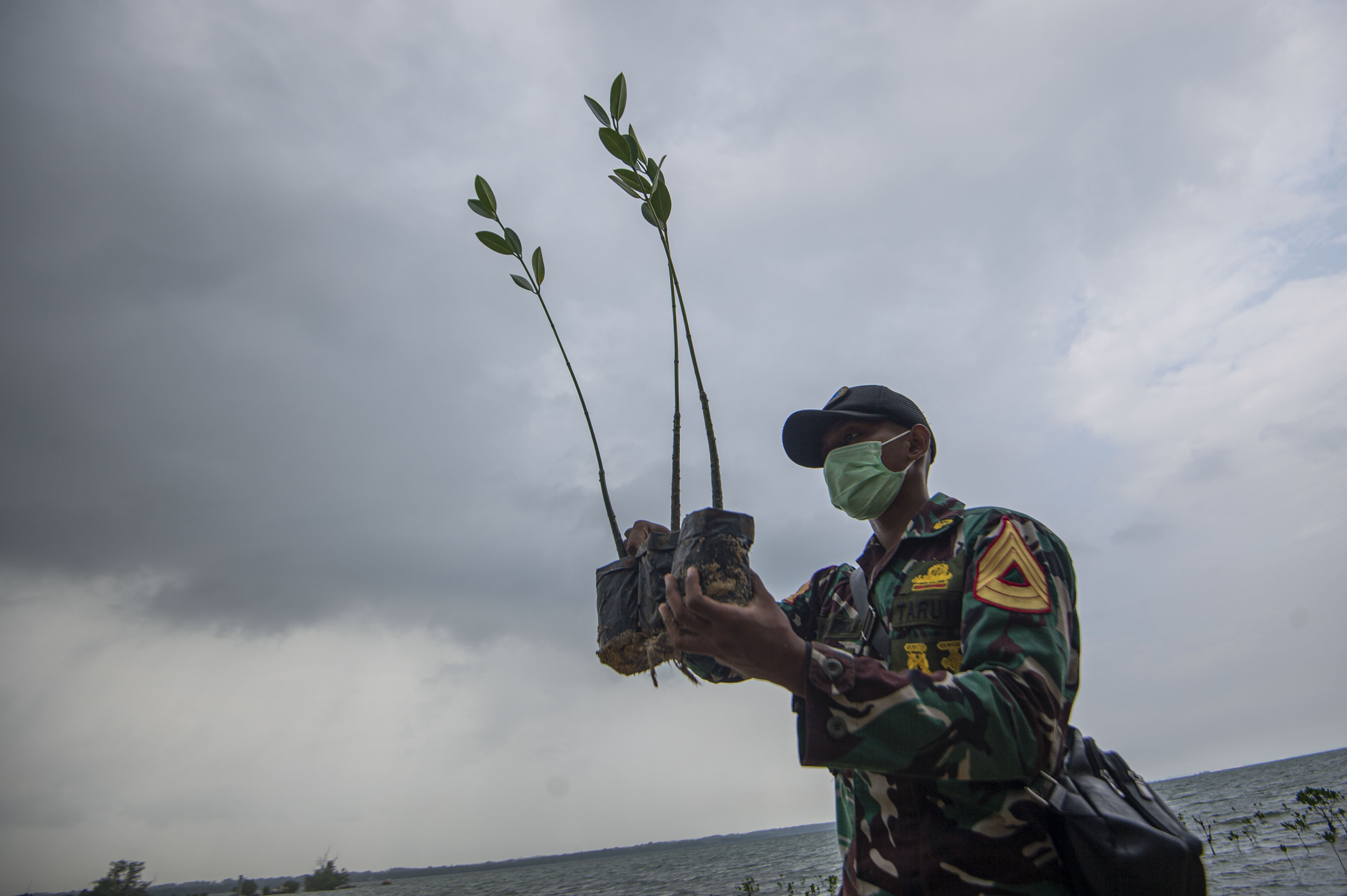 Taruna Akademi Angkatan Laut Menanam Bibit Bakau