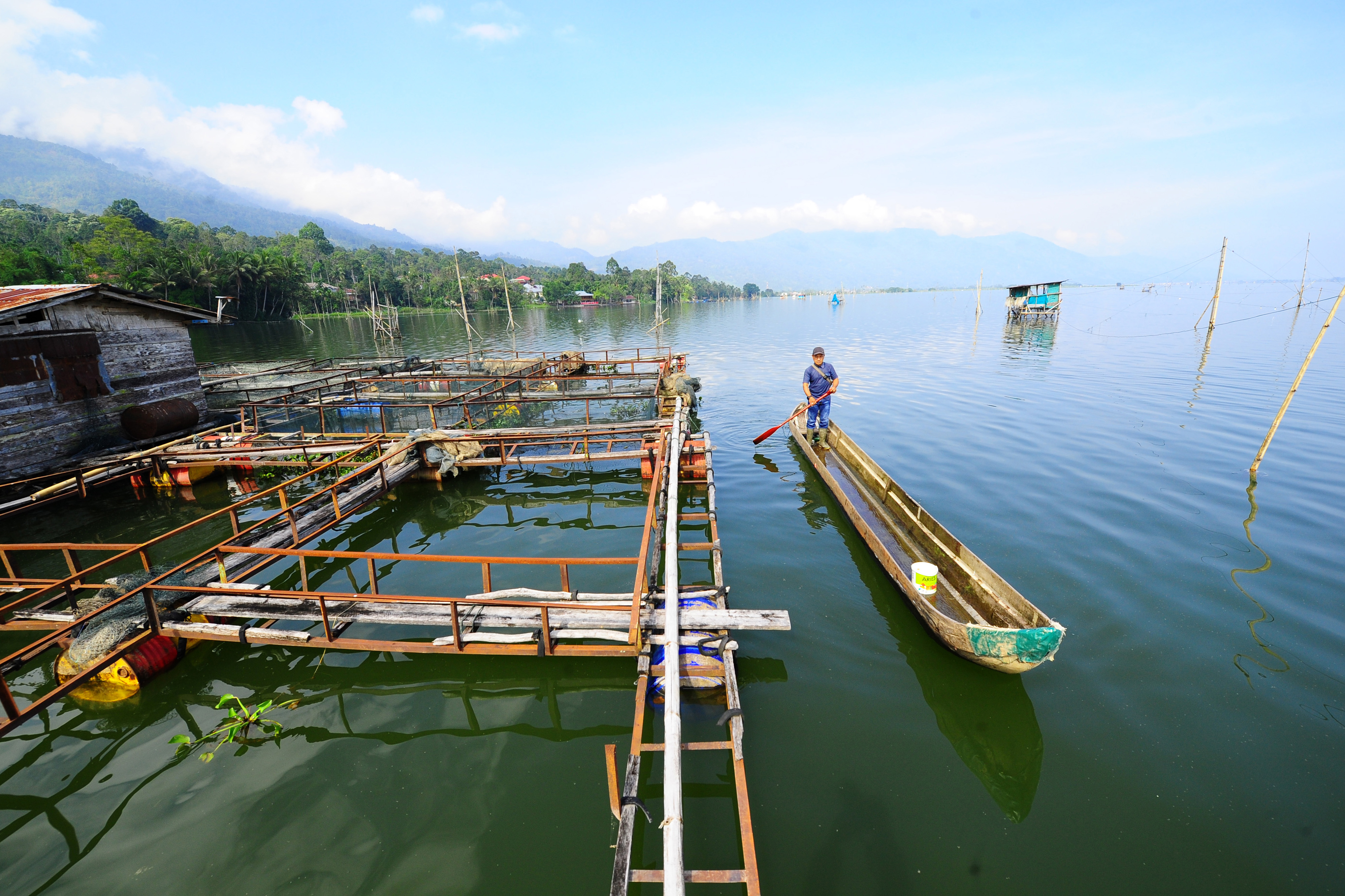 Penurunan Spesies Ikan Danau Kerinci