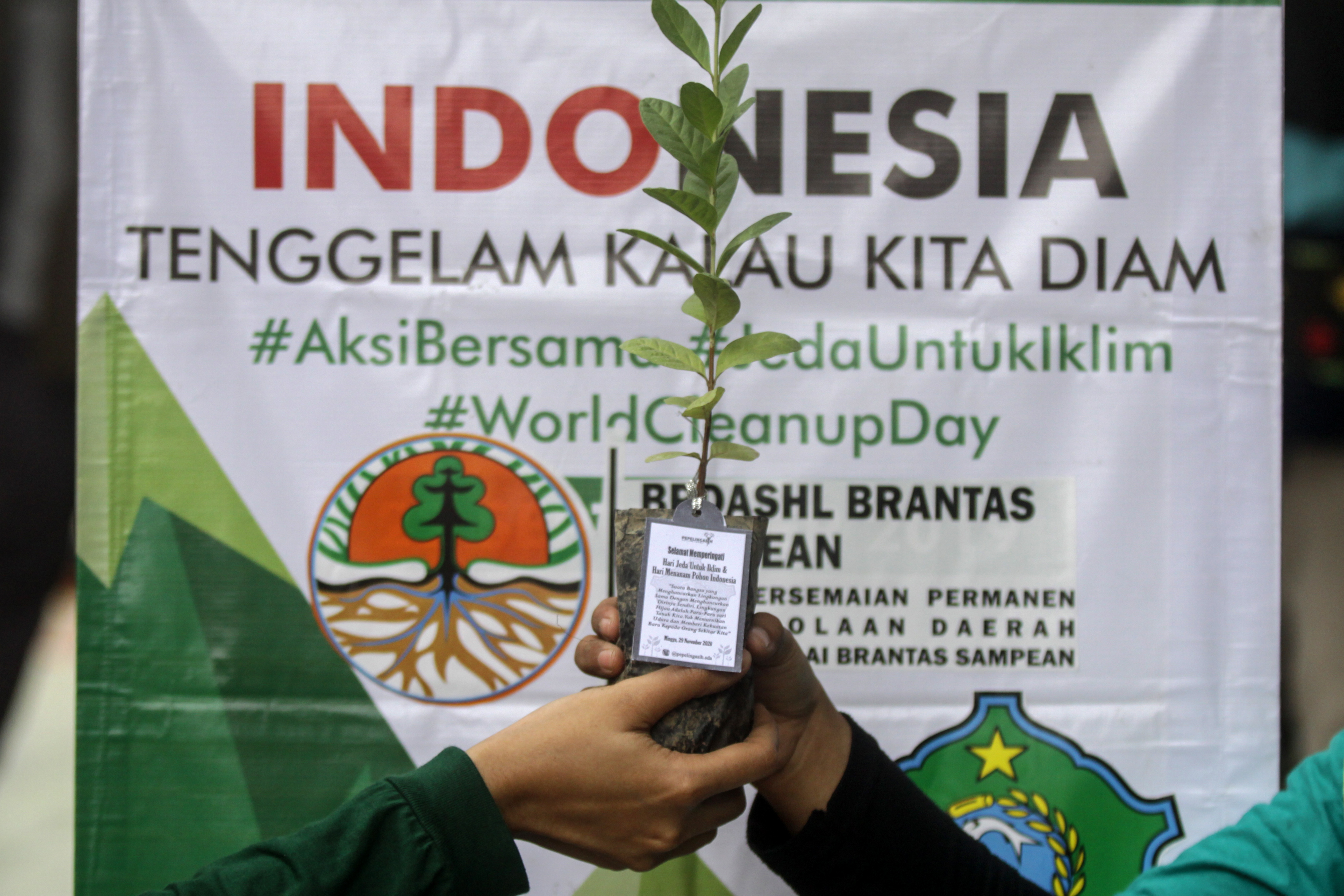  Hari Menanam Pohon Indonesia