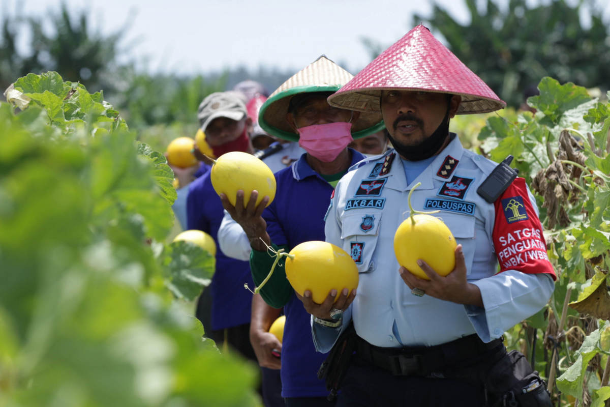 Pembekalan Bidang Pertanian Bagi Warga Binaan 