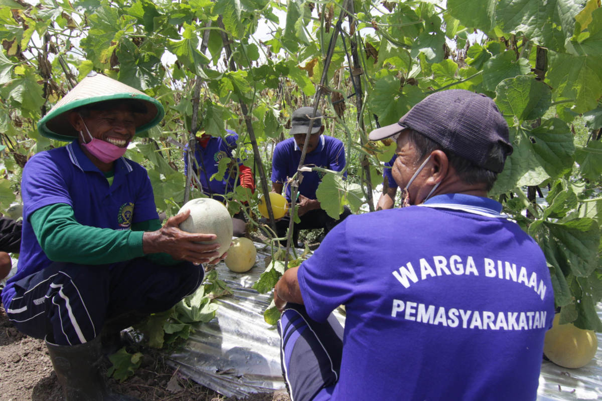 Pembekalan Bidang Pertanian Bagi Warga Binaan 