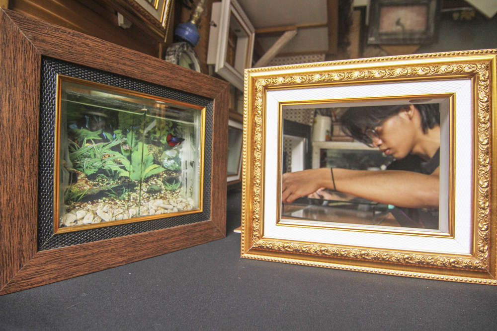 Kerajinan Aquarium Hias dari Frame Foto 