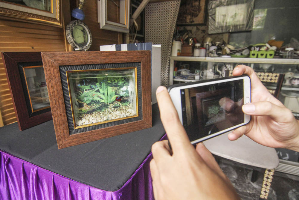 Kerajinan Aquarium Hias dari Frame Foto 