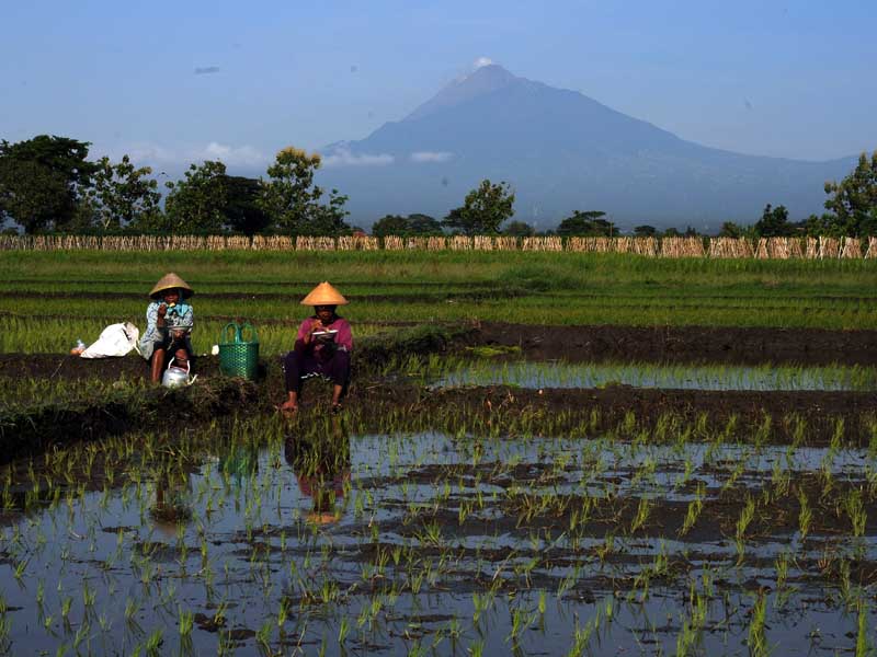 Aktifitas Gunung Merapi