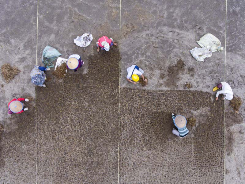 Progres Renovasi Stadion Madya Bumi Sriwijaya