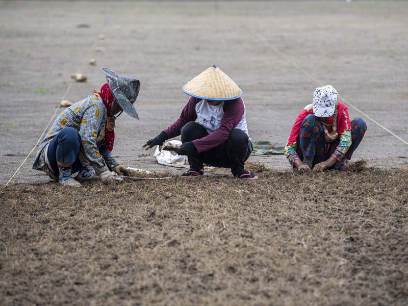 Progres Renovasi Stadion Madya Bumi Sriwijaya