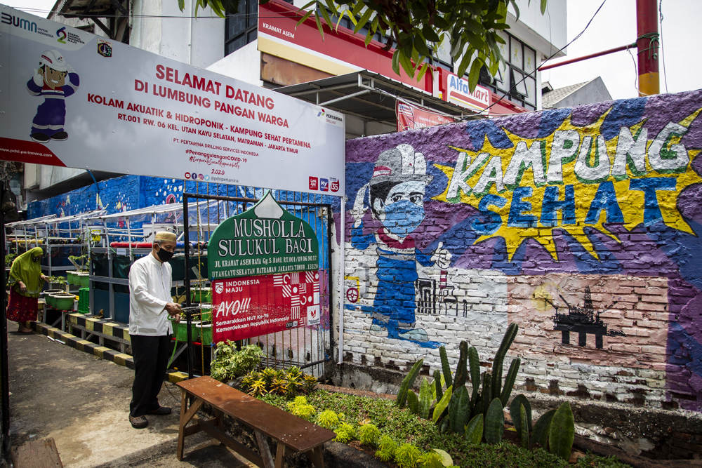 Hidroponik di Kampung Sehat Utan Kayu 