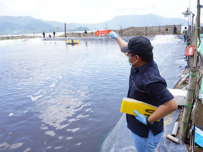 Penyelidikan kasus Tambak Udang Cemari Lingkungan