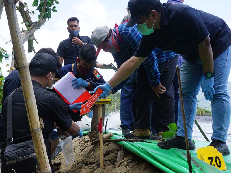 Penyelidikan kasus Tambak Udang Cemari Lingkungan