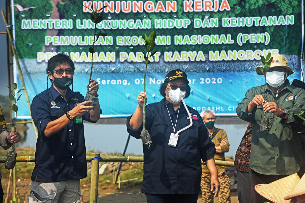 Menteri LHK Tanam Bakau di Serang 