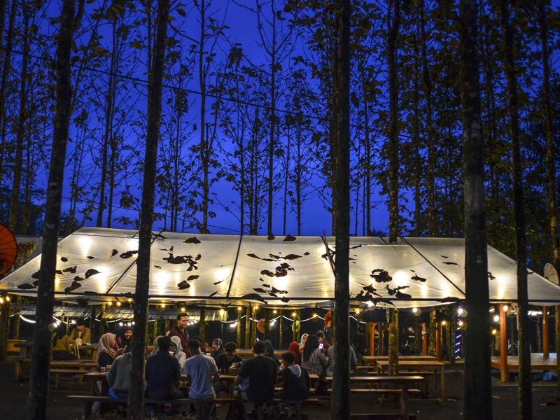 Wisata Jati Sewu Cibungbang Dikelola Bumdes