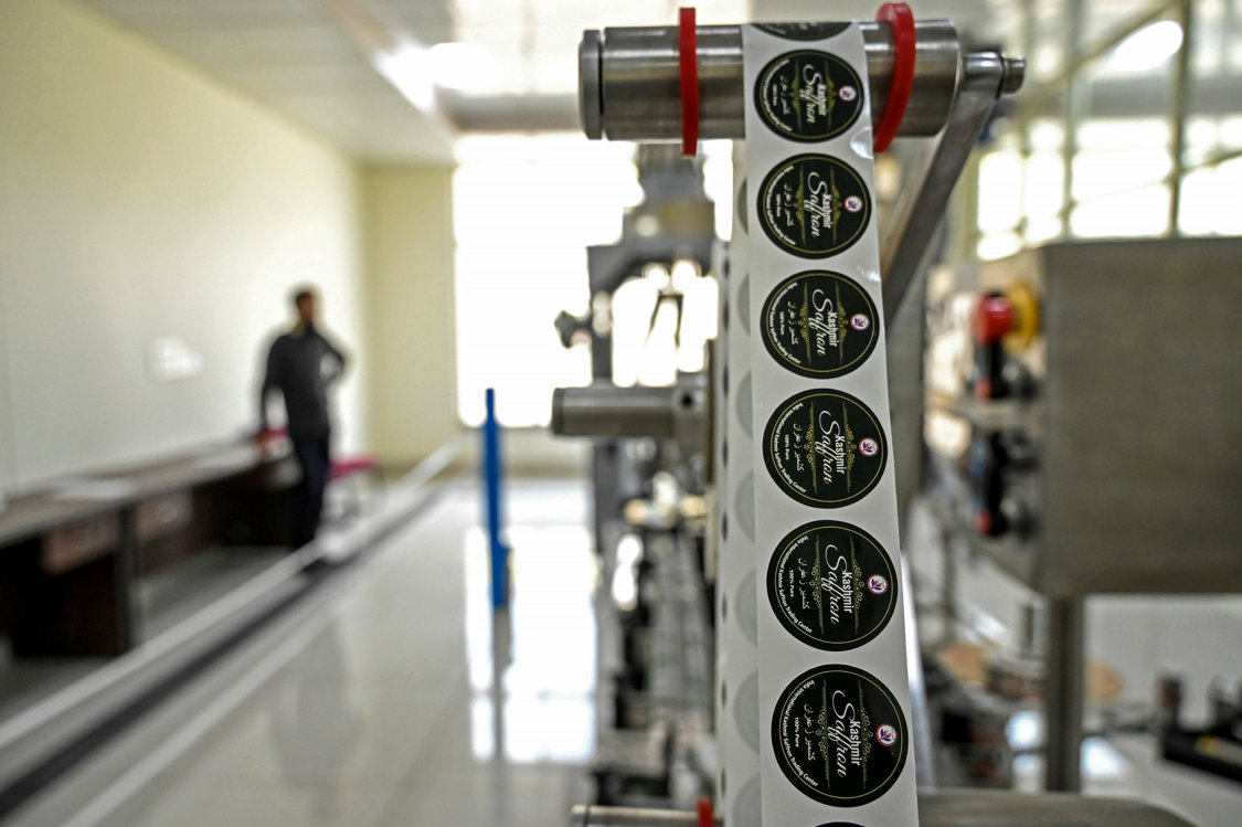 Panen Safron Menurun Akibat Perubahan Iklim