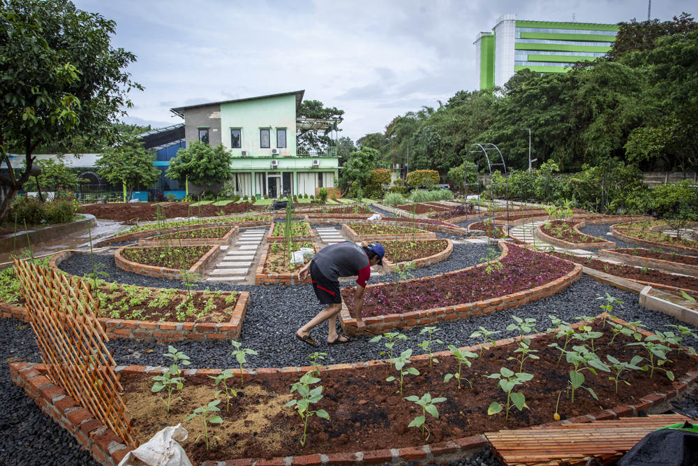 Edukasi Agro Wisata Ragunan Dibuka Hari Ini