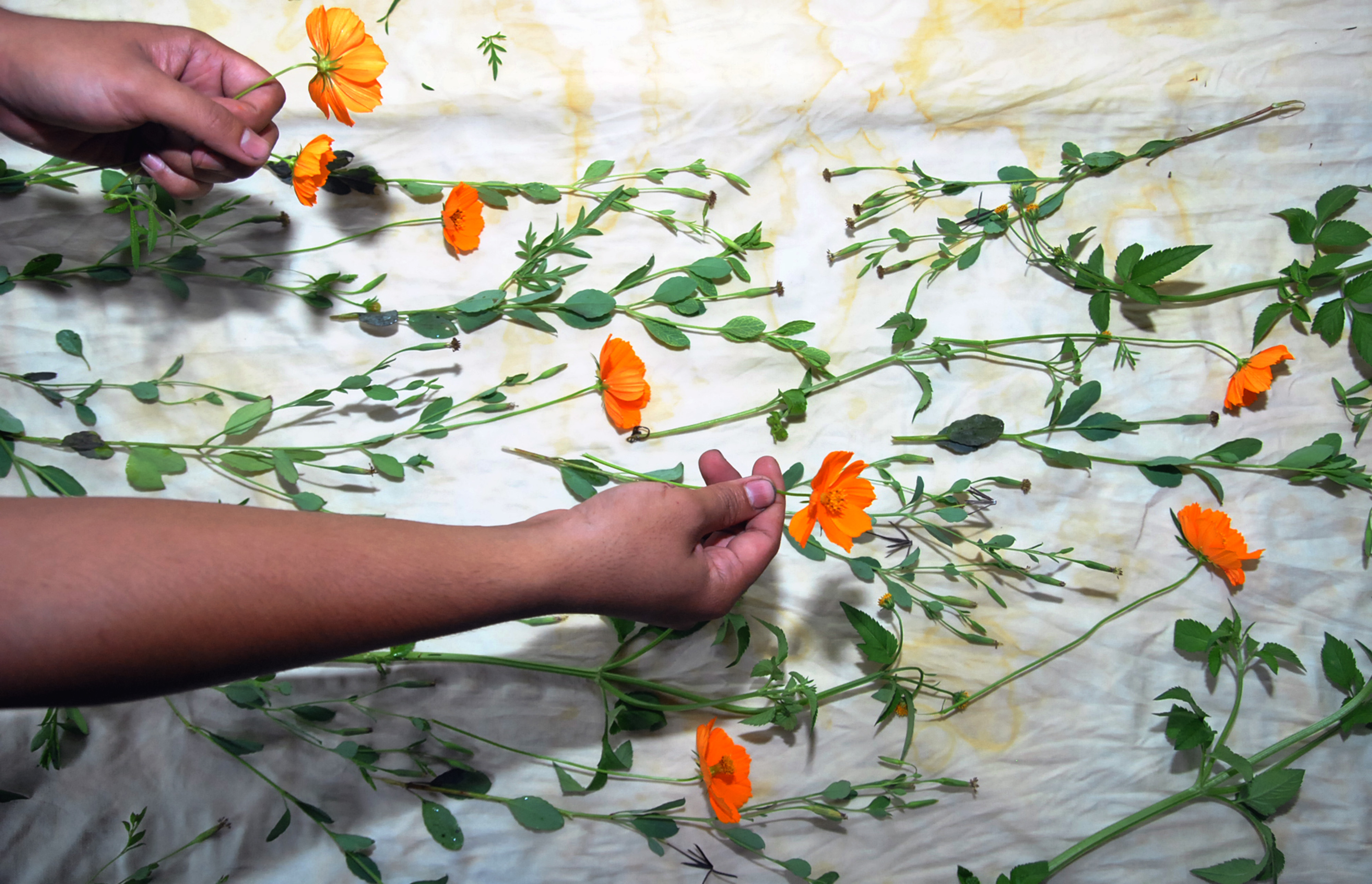 Produksi Kain Motif Cetak Daun