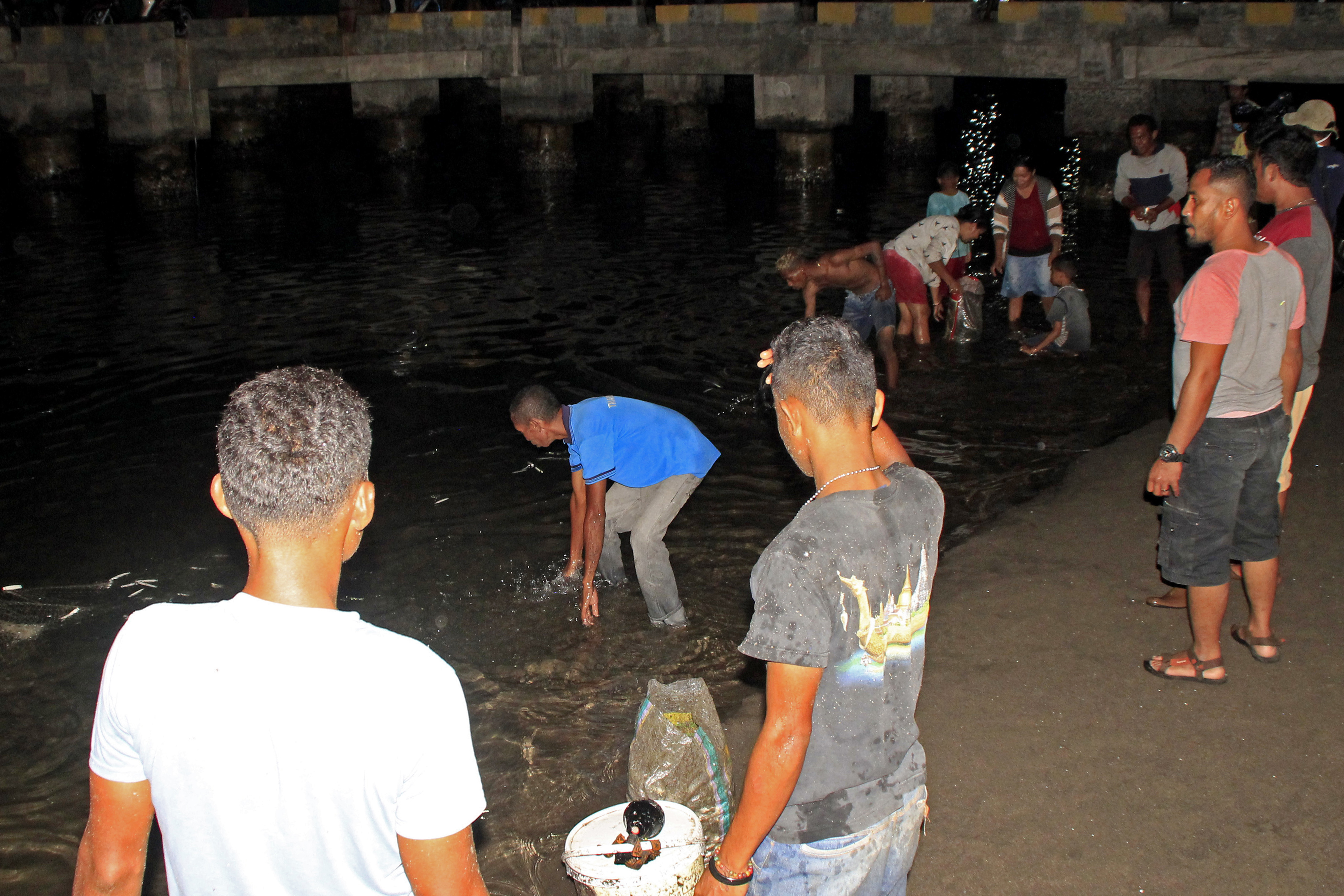 Fenomena Ikan Naik ke Pantai