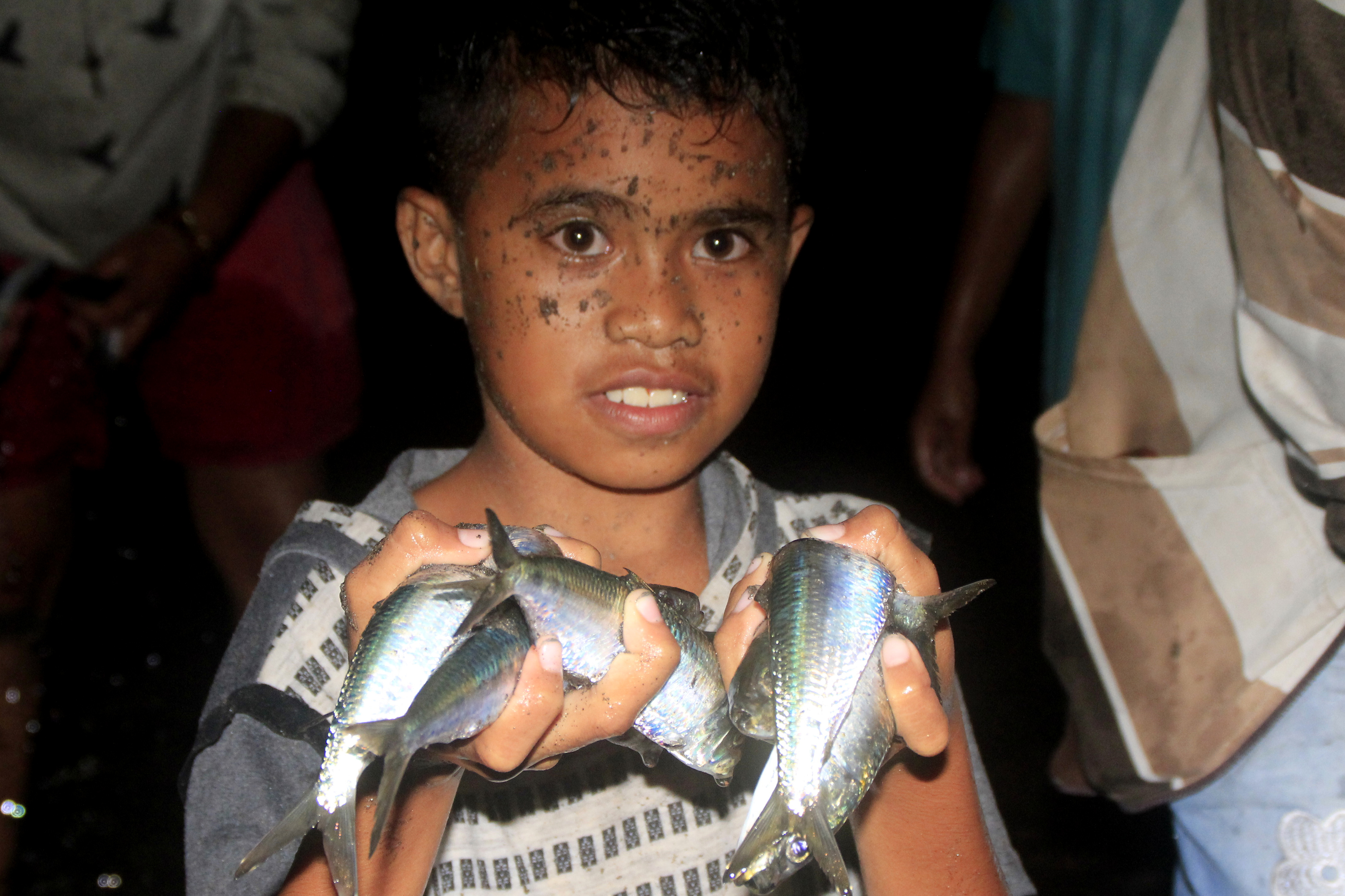 Fenomena Ikan Naik ke Pantai