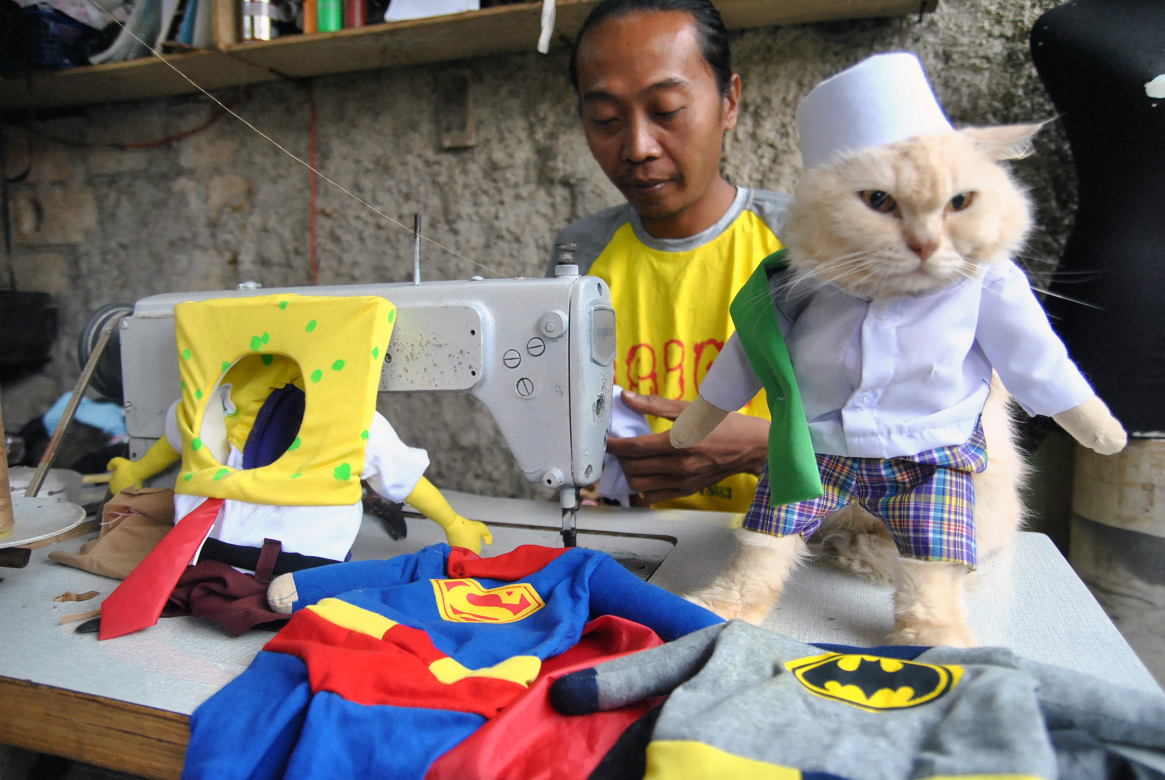 Membuat Busana Untuk  Kucing