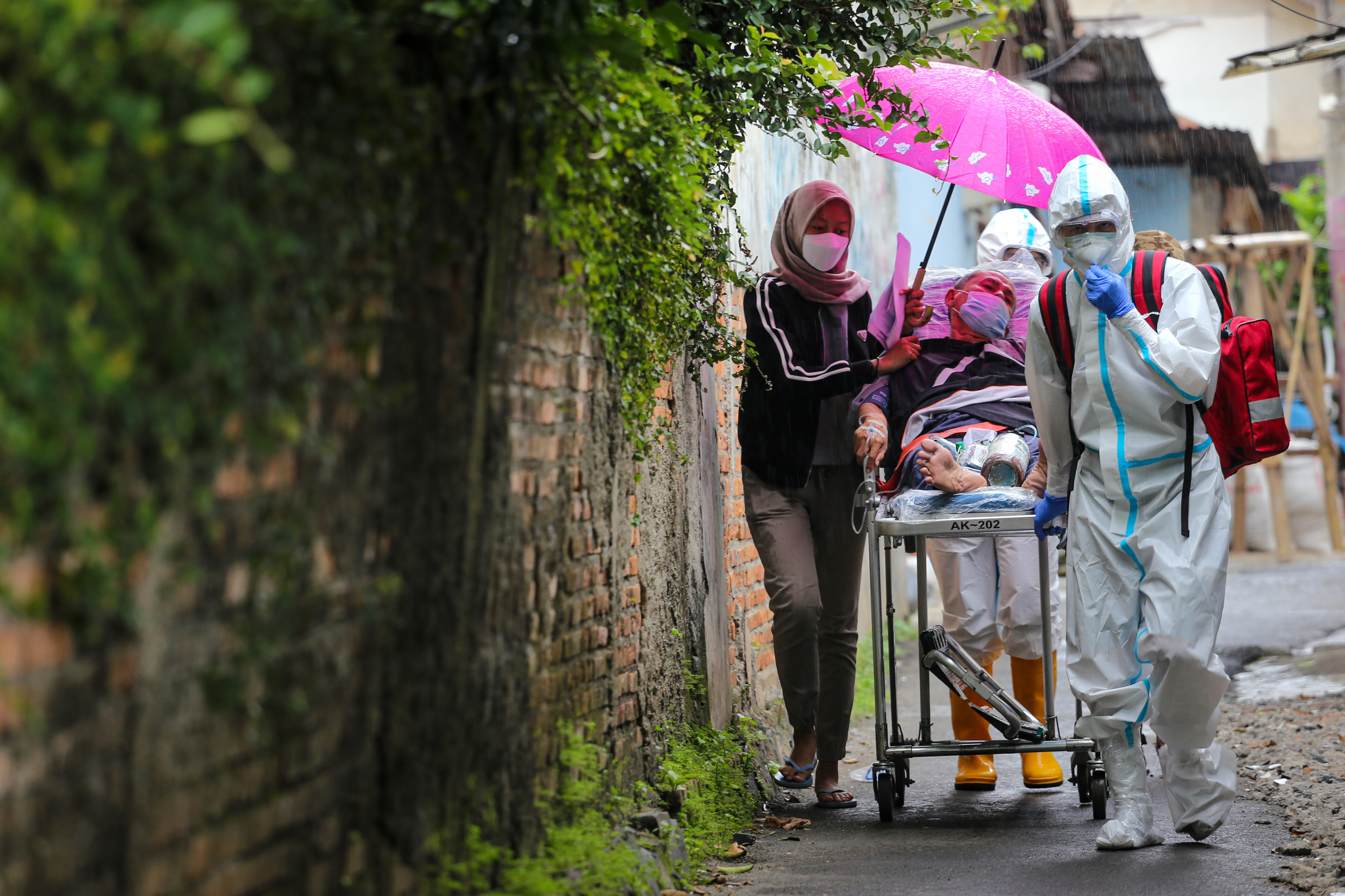 Perkembangan Kasus Covid-19 di Indonesia