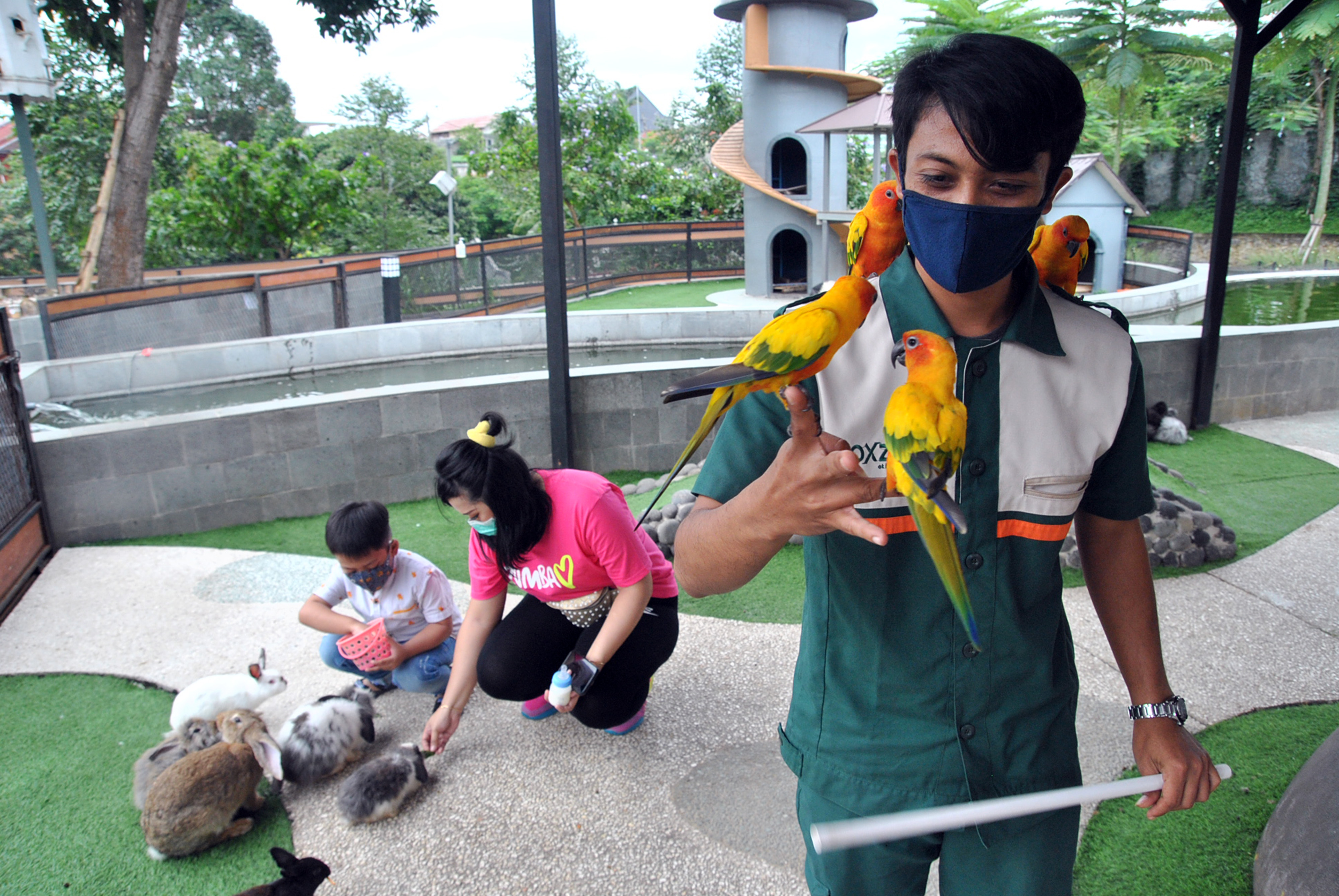 Wisata Satwa di Mall Boxies  Tajur